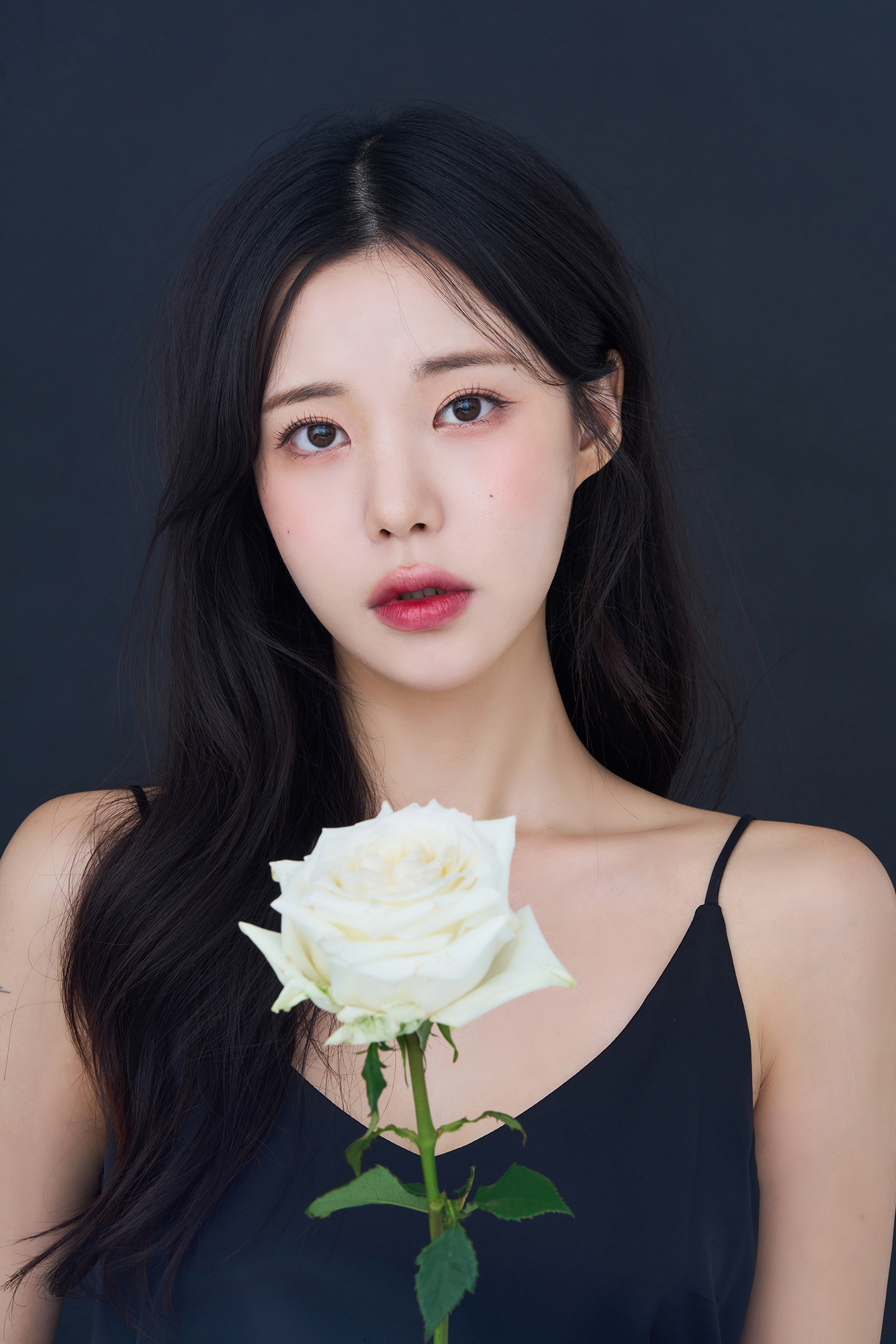 드림워크스튜디오