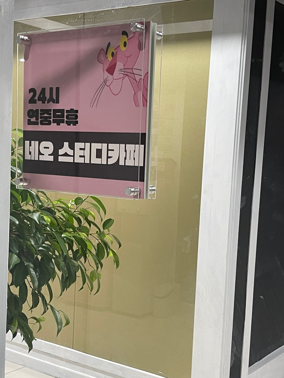 업체사진