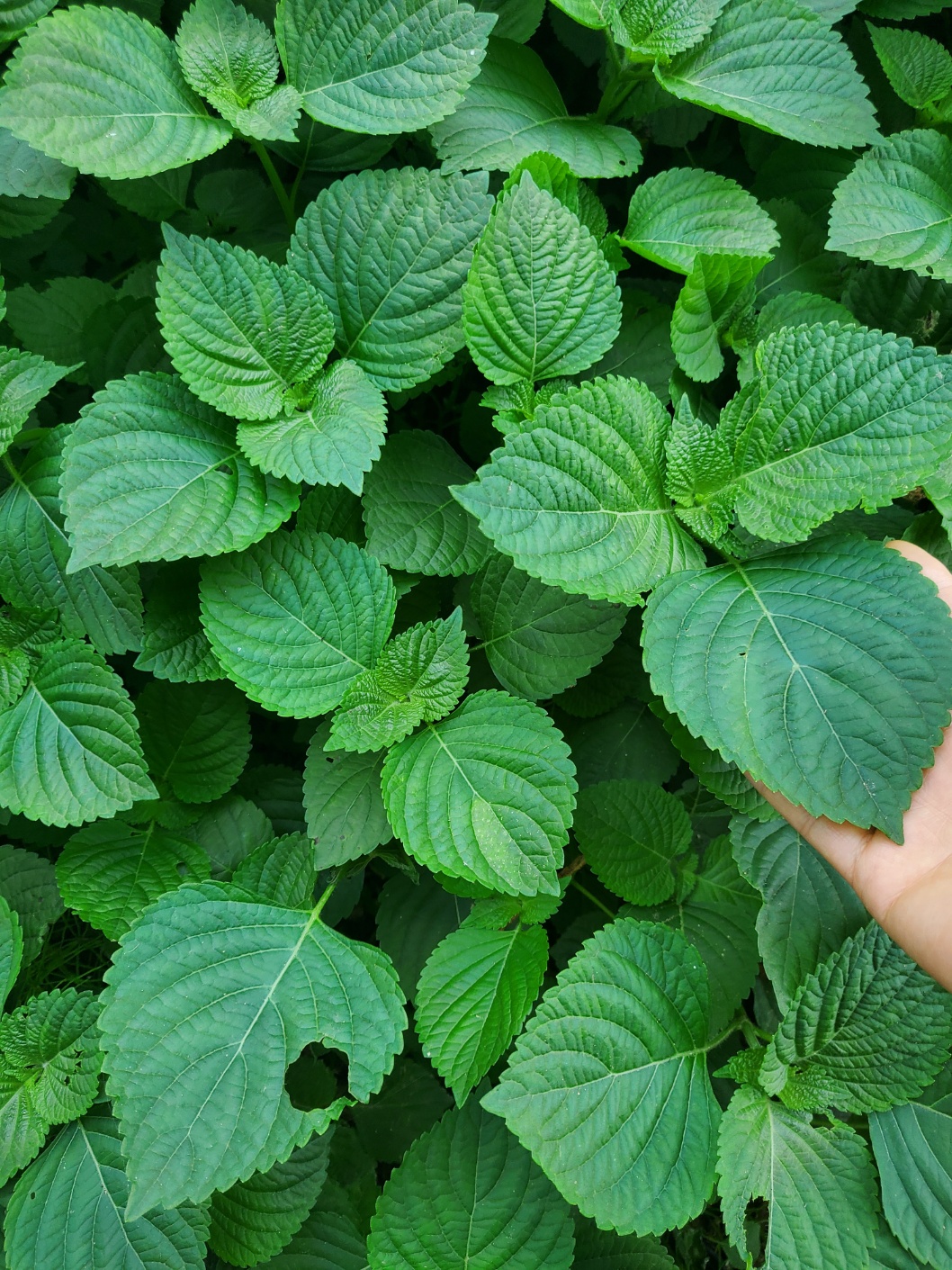 철뚝집 수지점