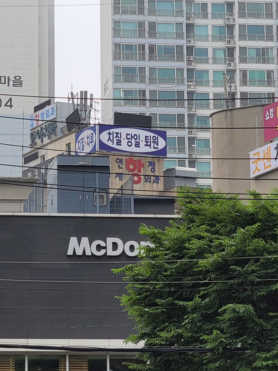 연세항정외과의원