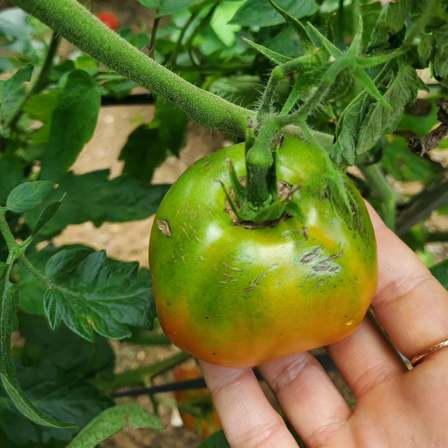 철뚝집 수지점