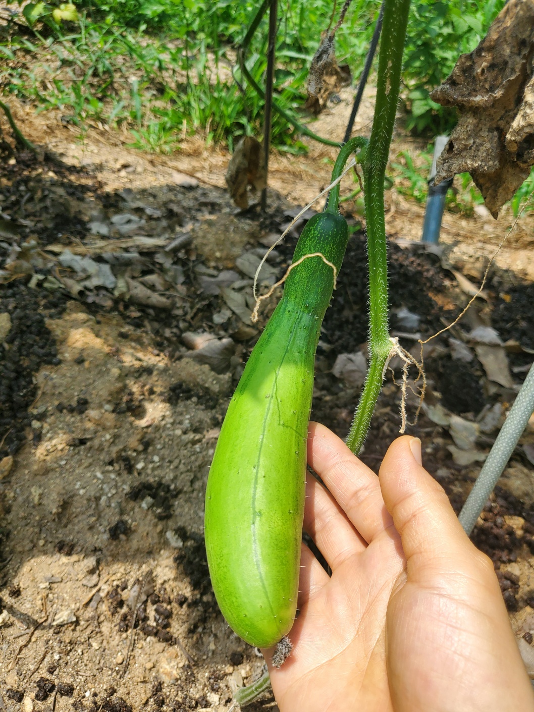 철뚝집 수지점