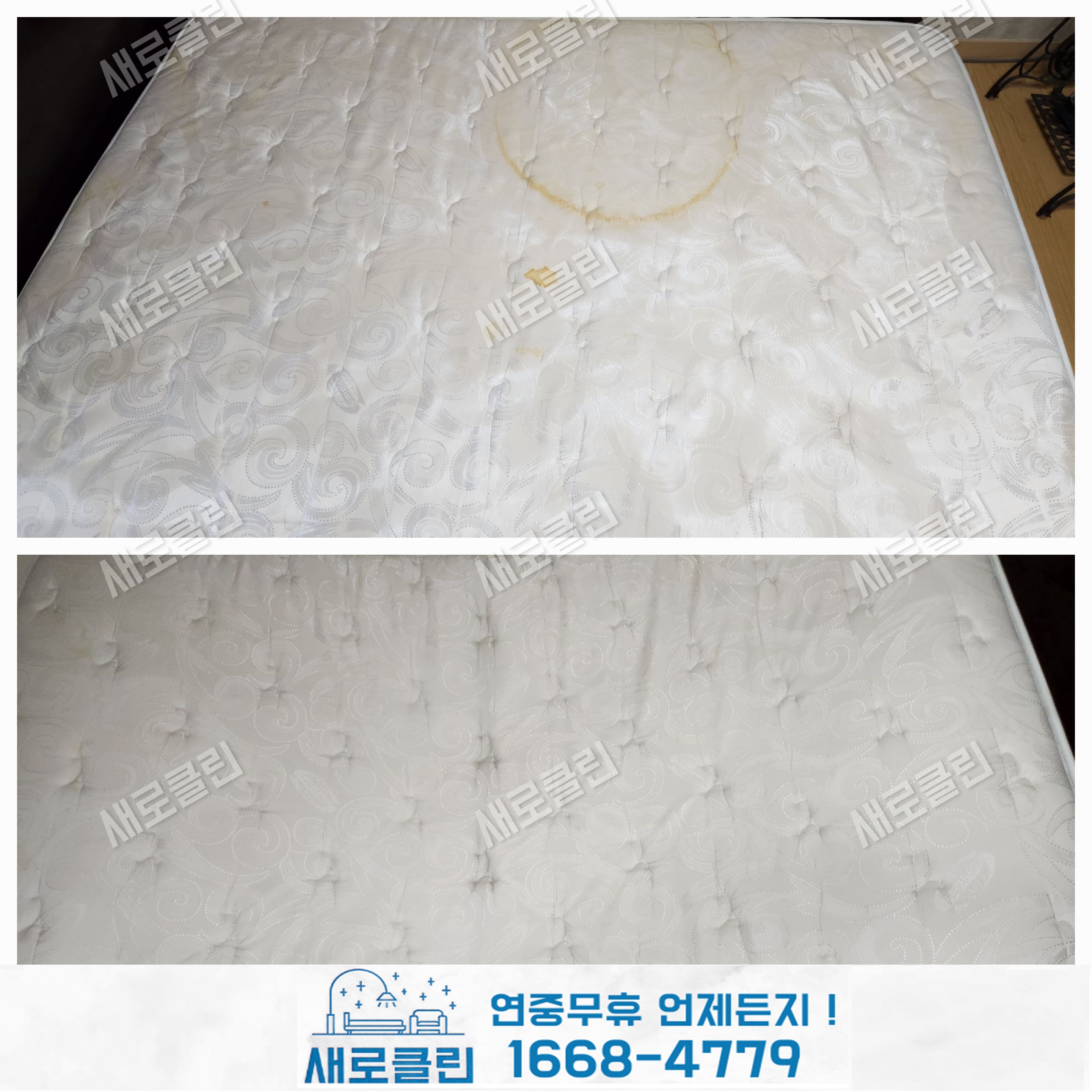 매트리스,소파,카페트 새로클린 마포점 대표 이미지