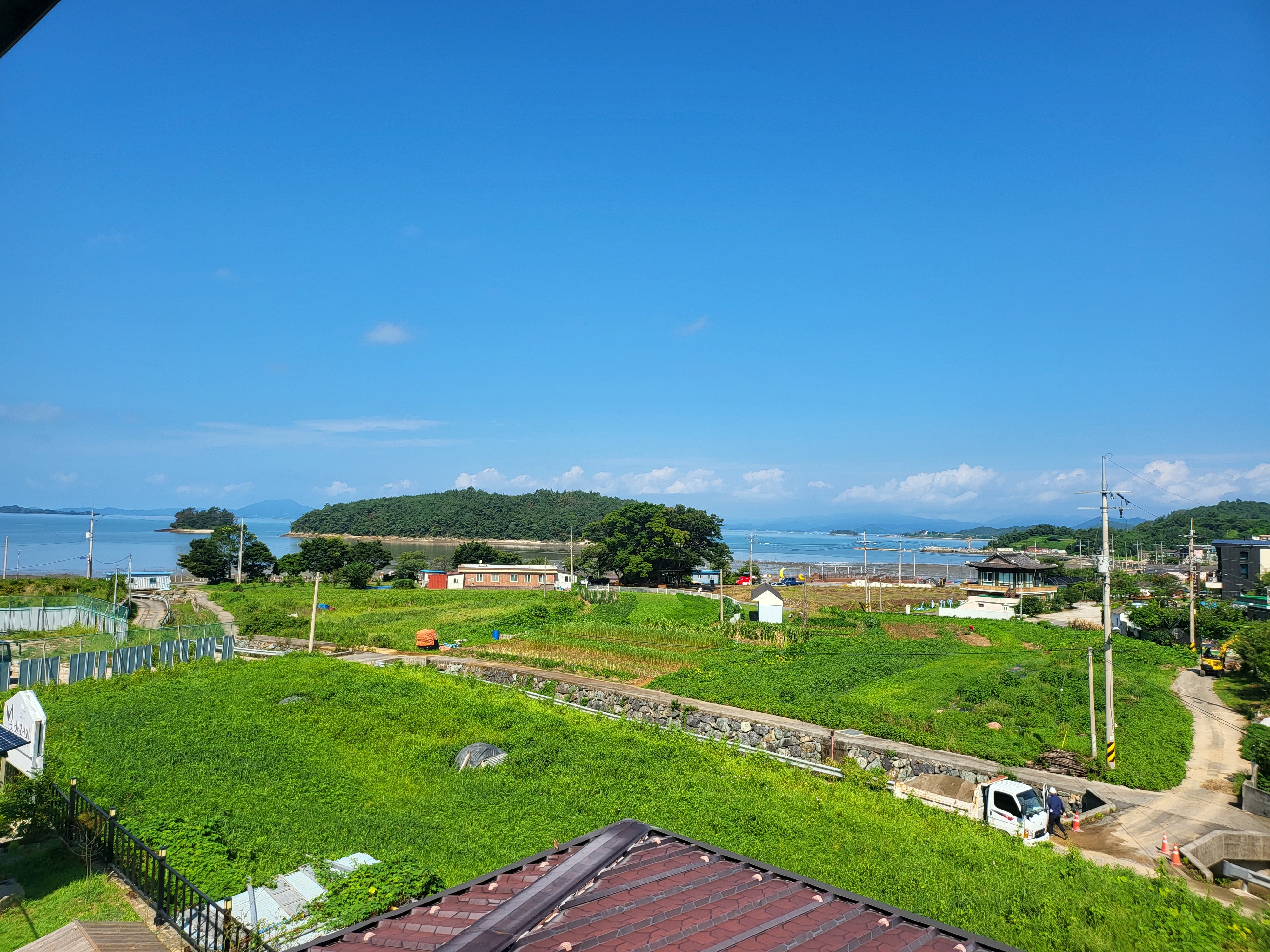 님바래기
