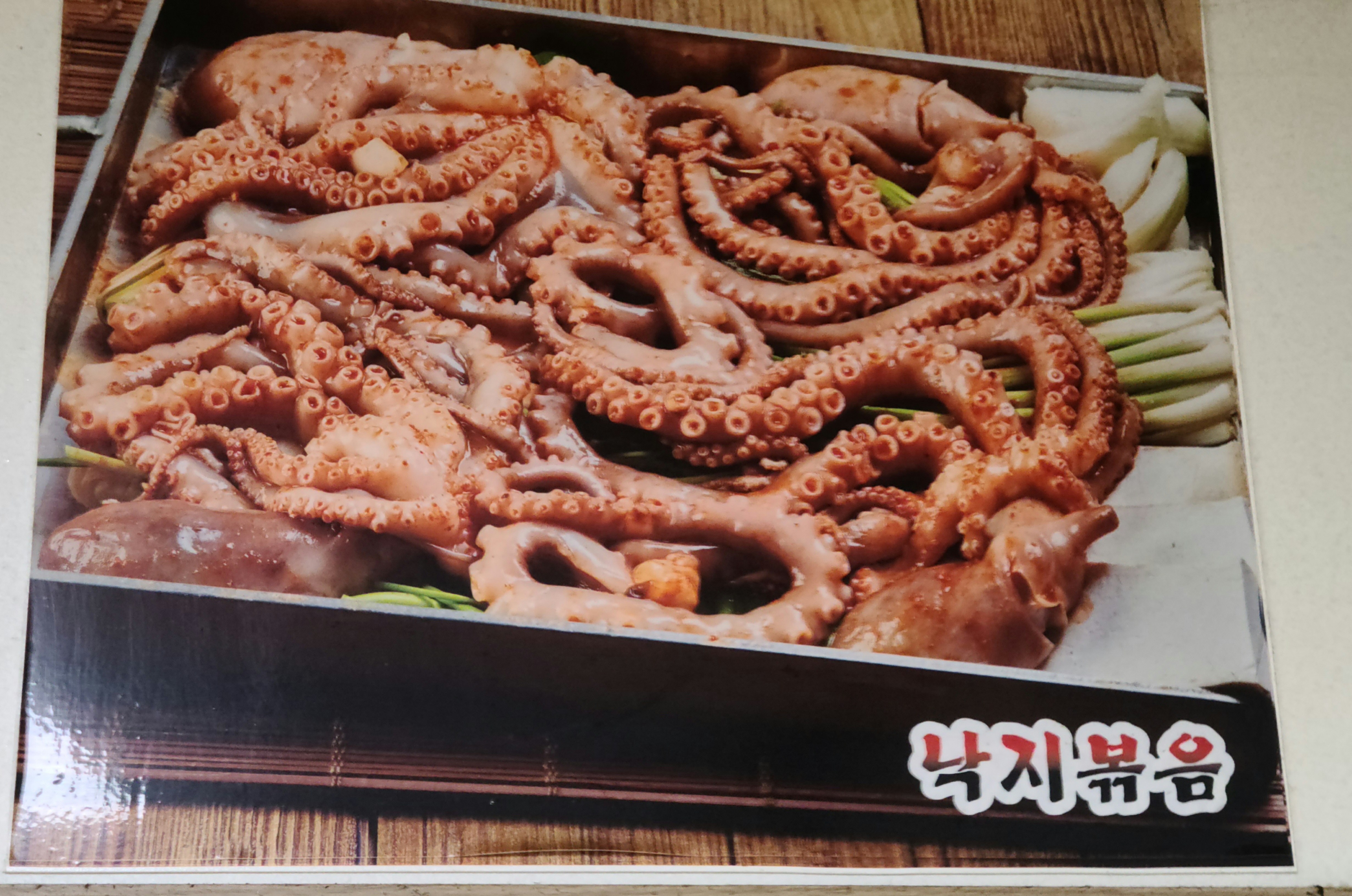 진도집
