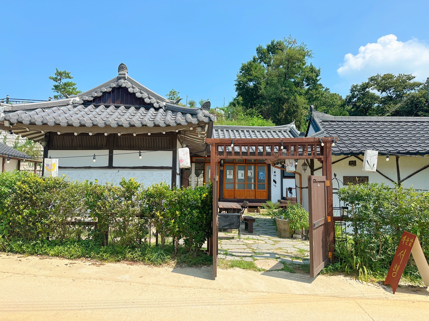 사진 3