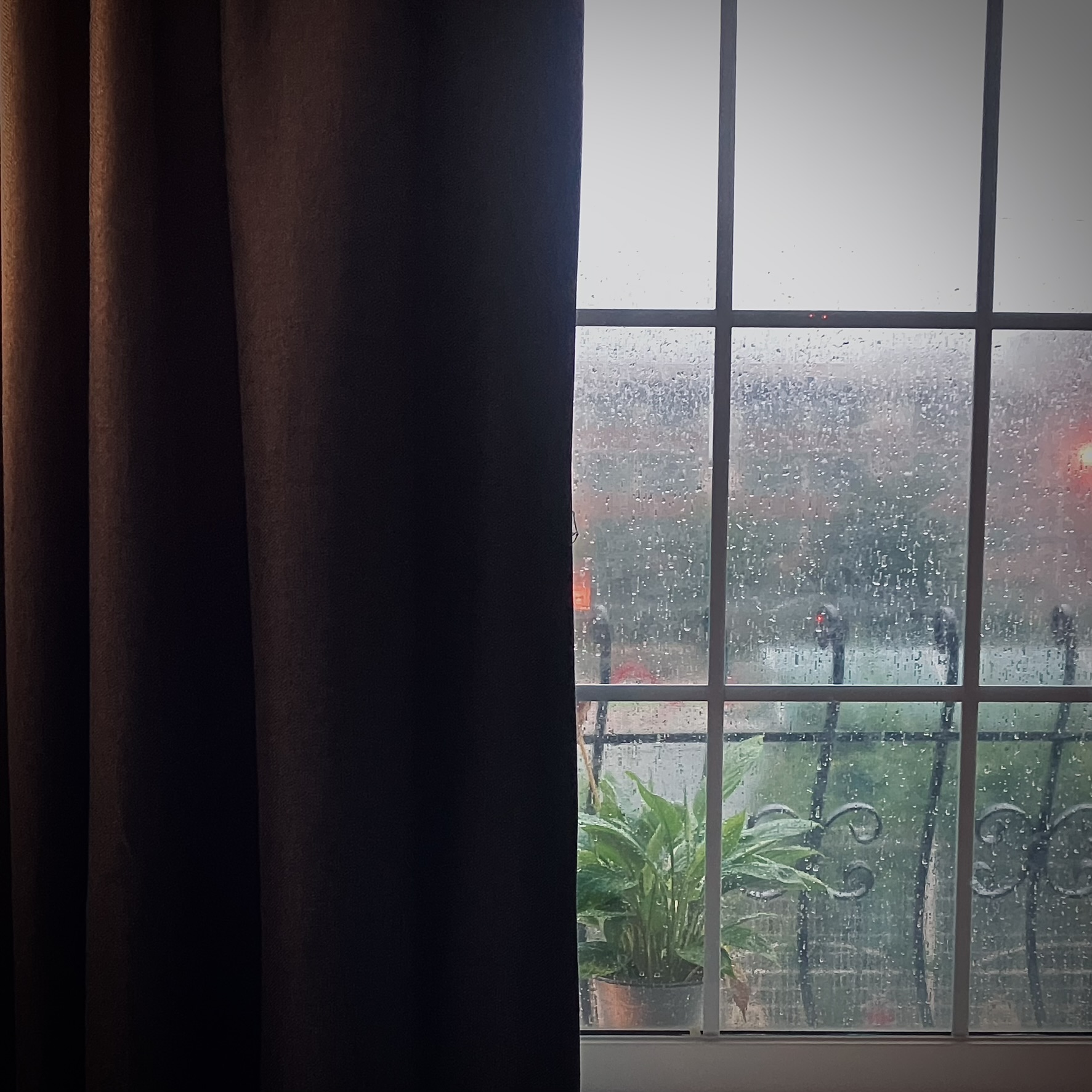 파스텔 photo 9