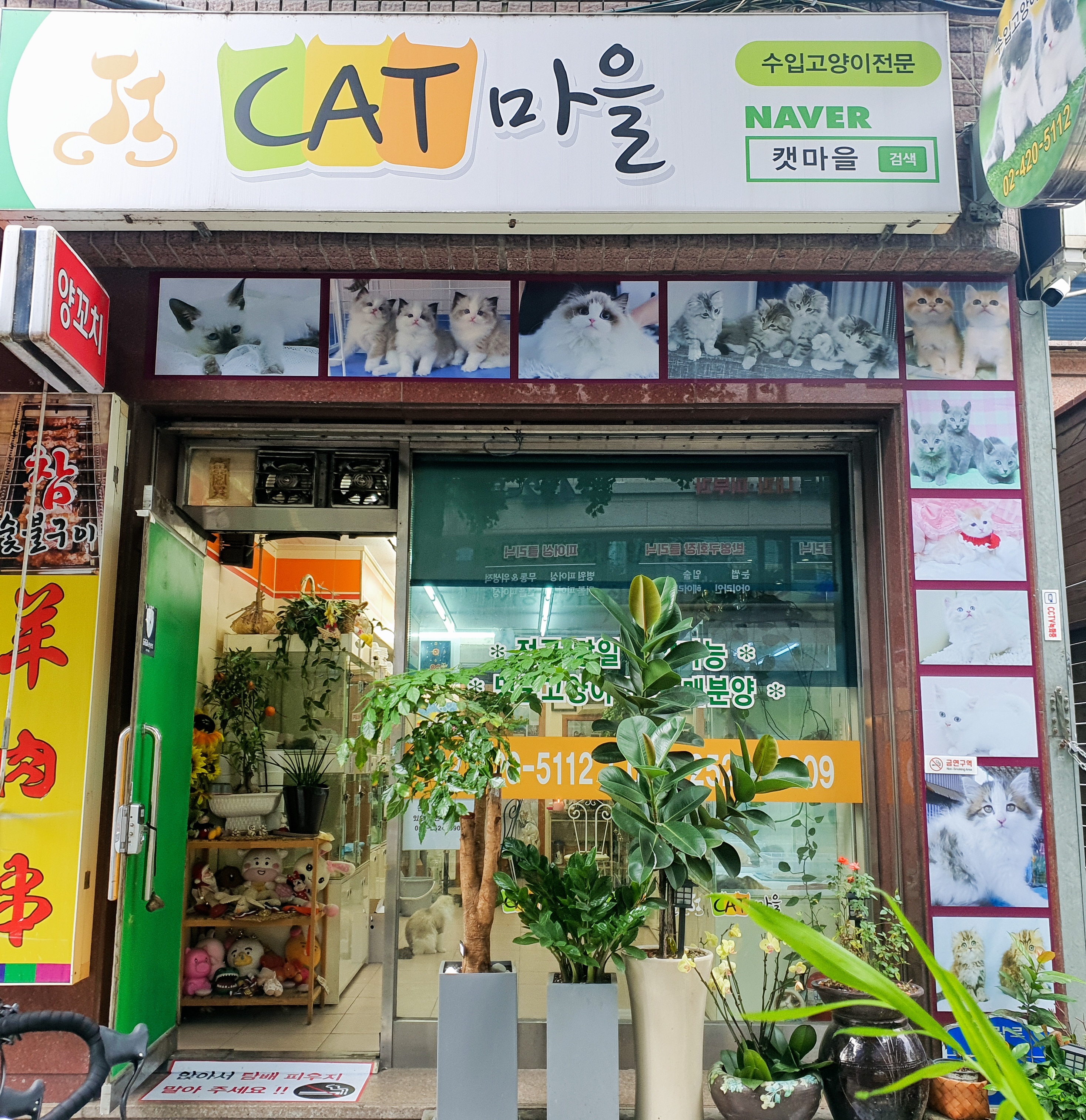 캣마을