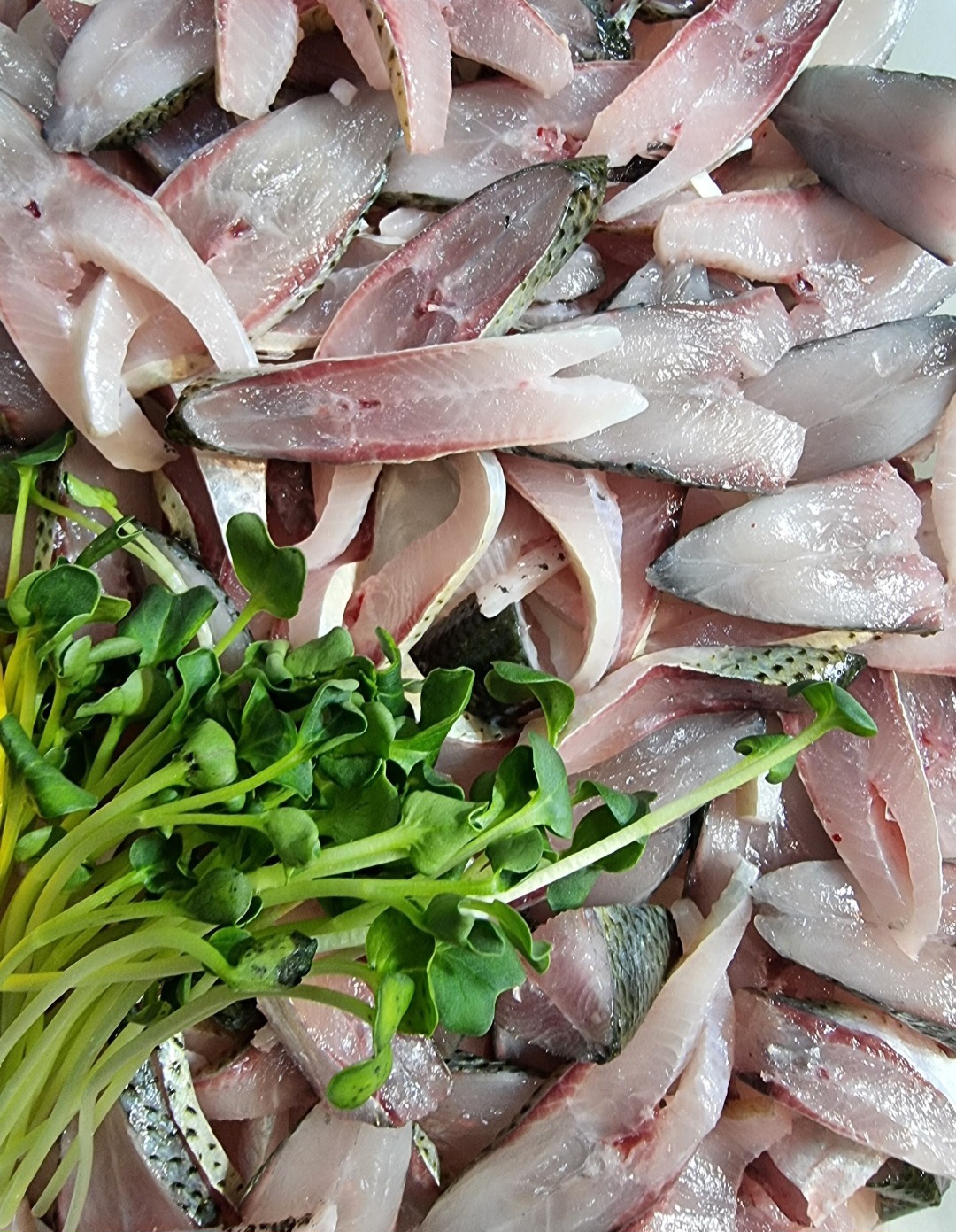 베테랑종합어시장 인천구월점
