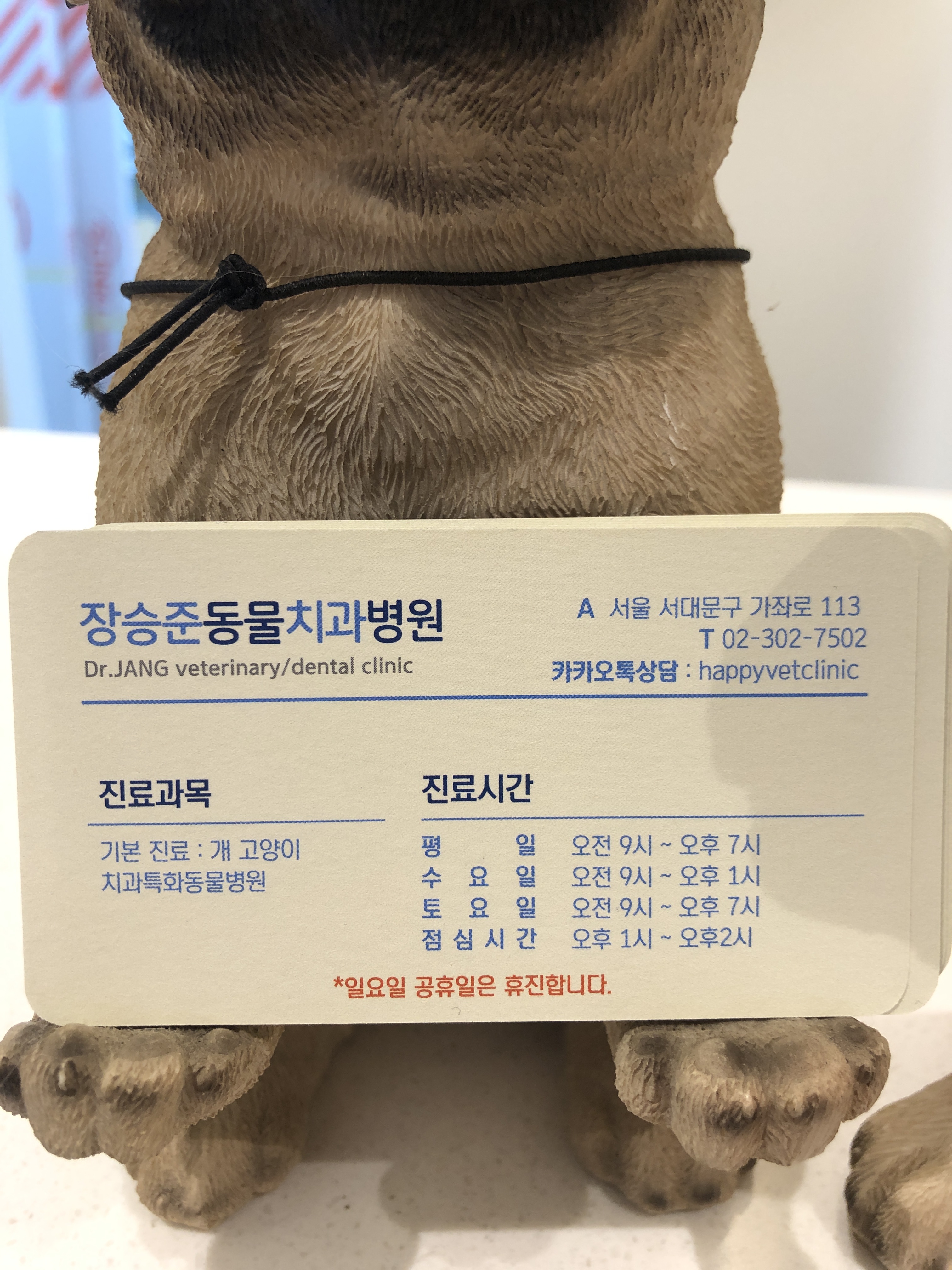 장승준동물치과병원 대표 이미지