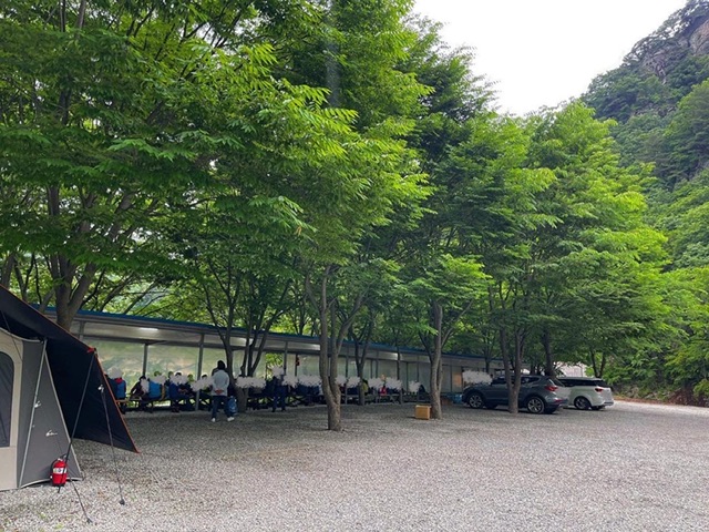 부귀산장펜션 숲속캠핑장