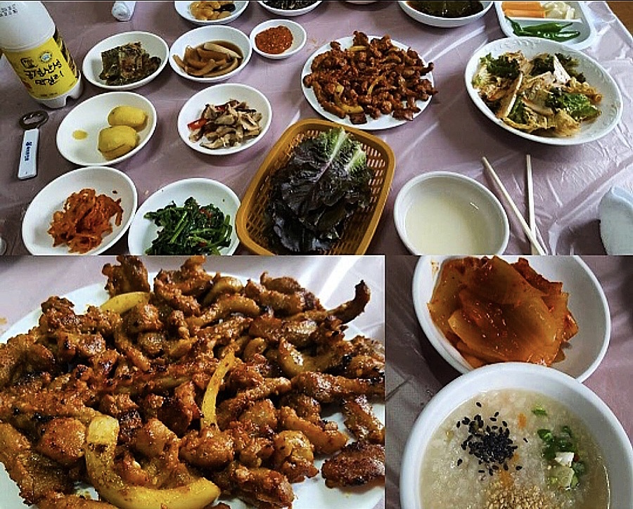 차씨집