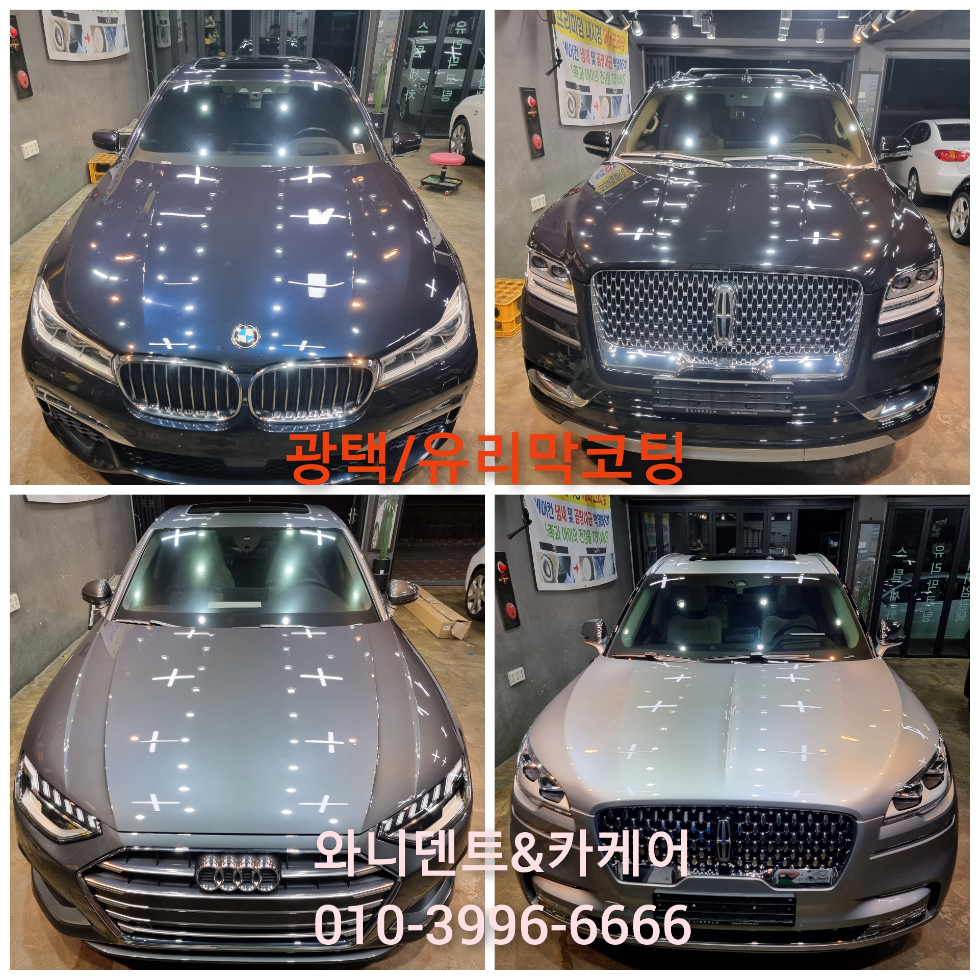 와니덴트