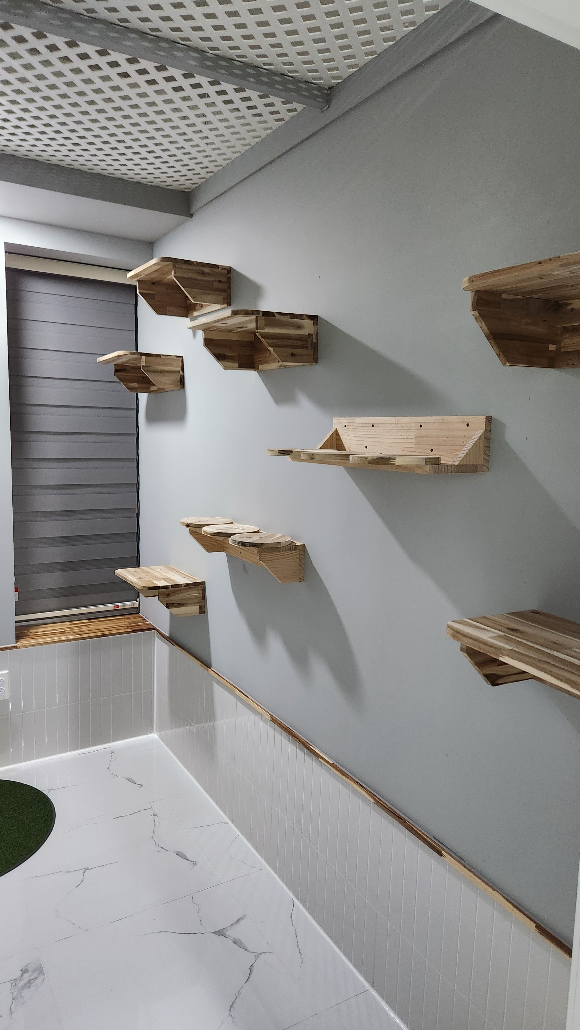 라온캣독호텔 대표 이미지