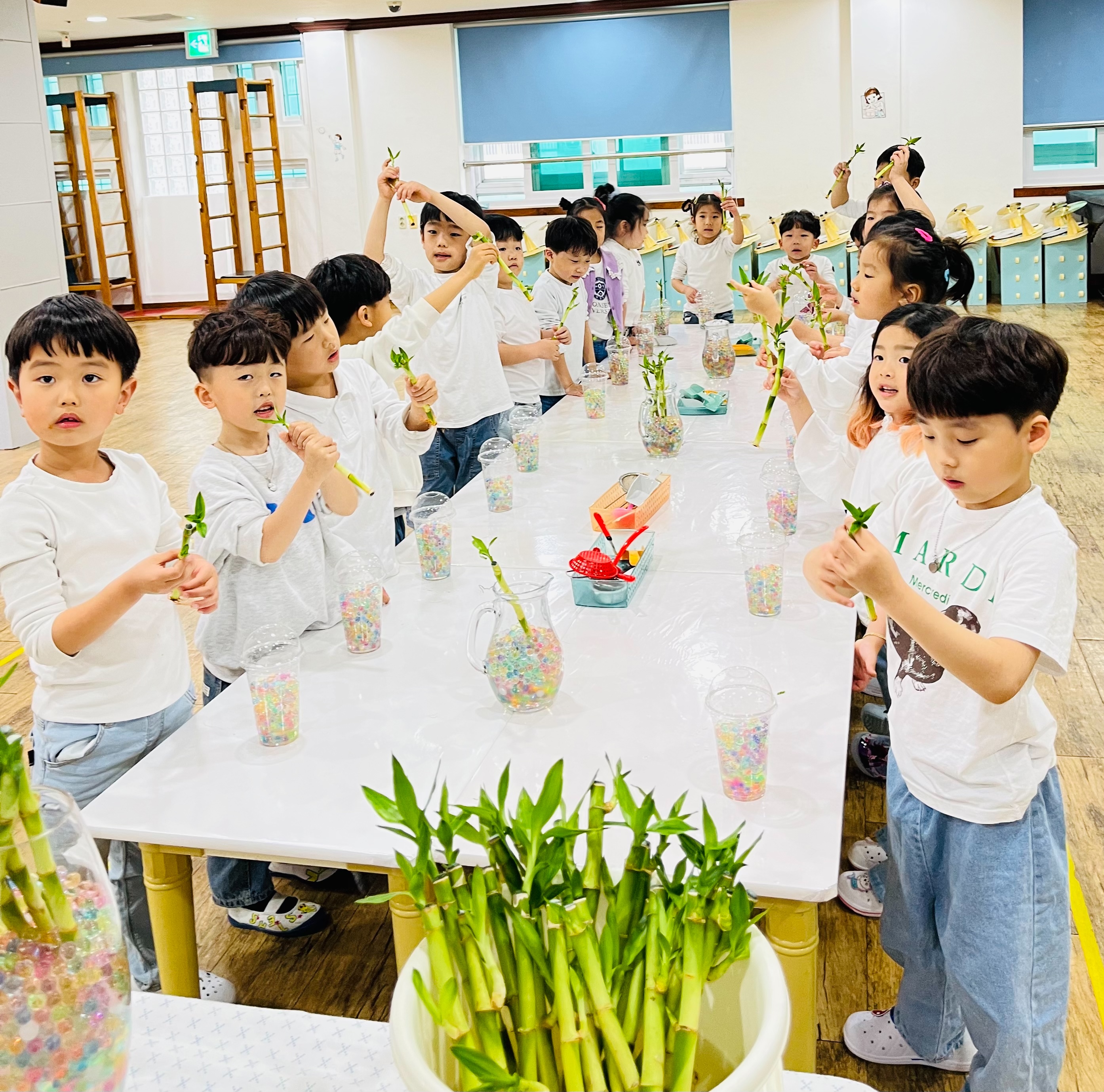 아이캔몬테소리유치원