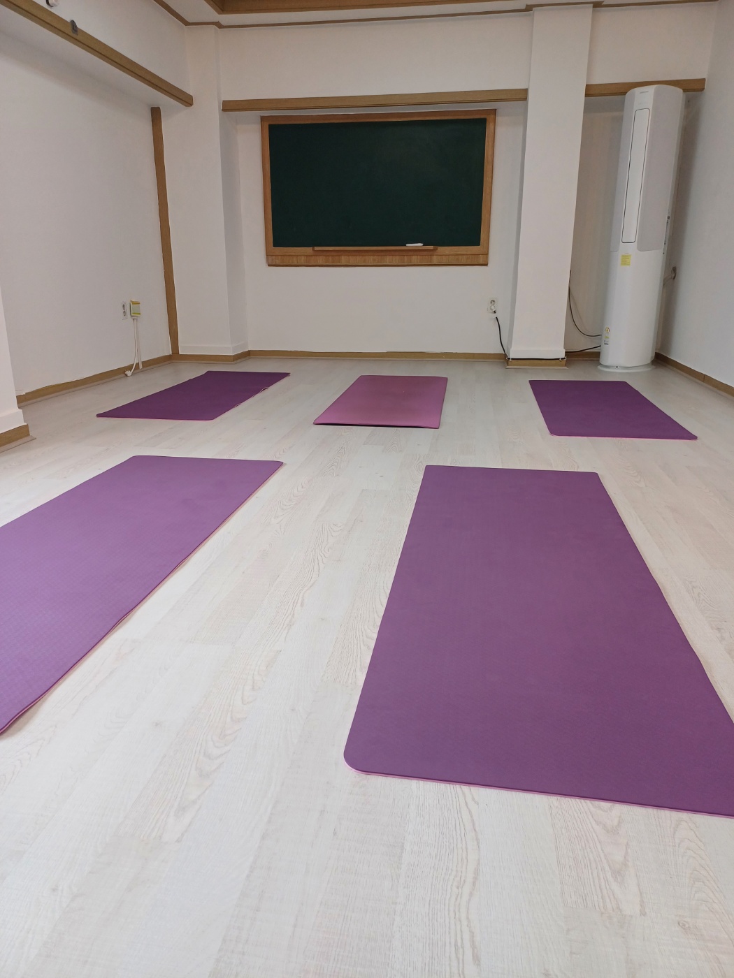 지금요가&힐링 대표 이미지