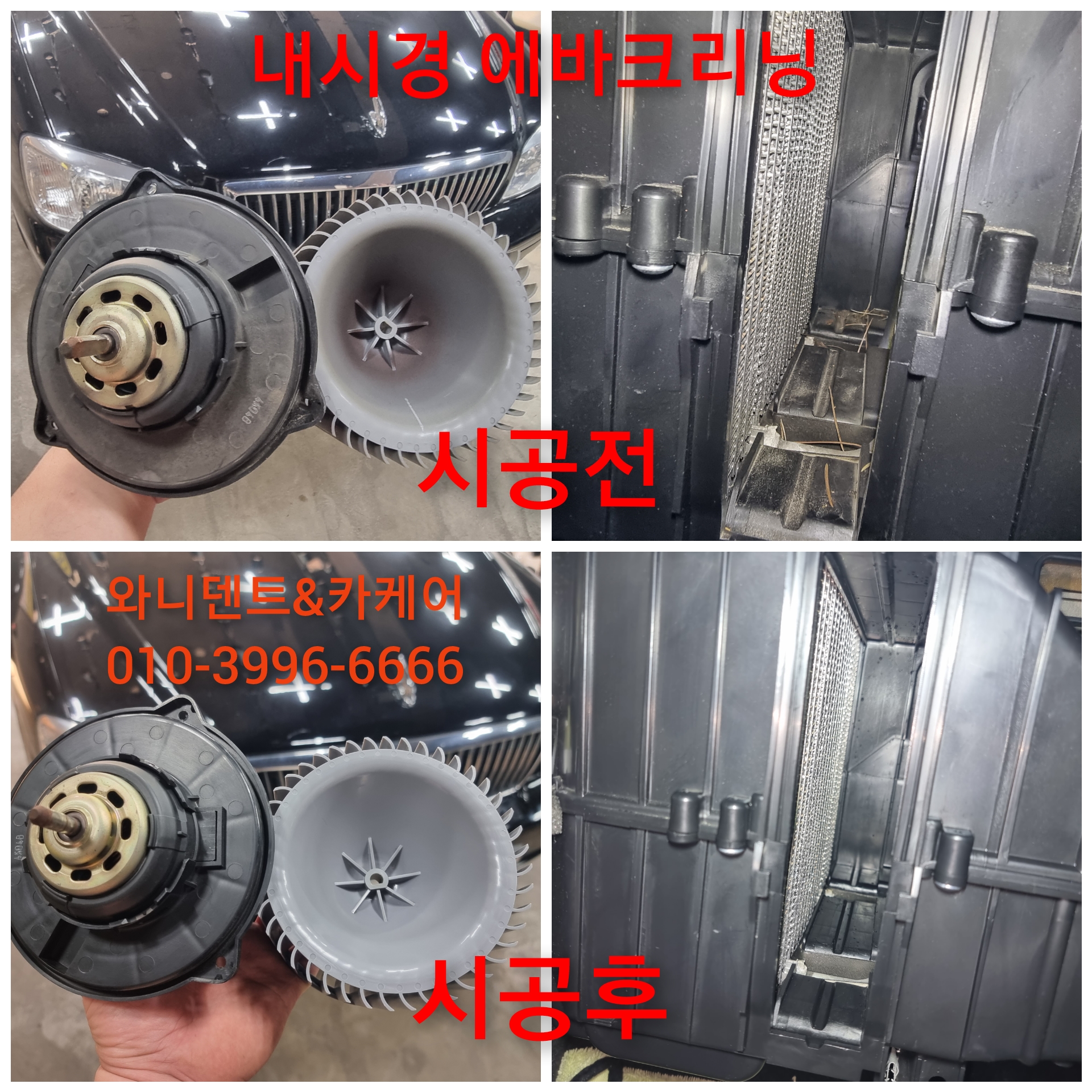 와니덴트