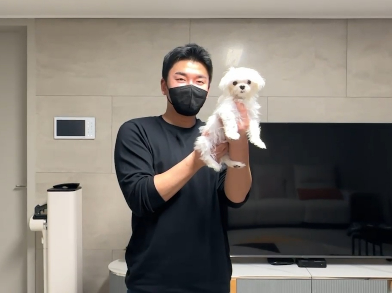 손선생반려견교육센터 대표 이미지