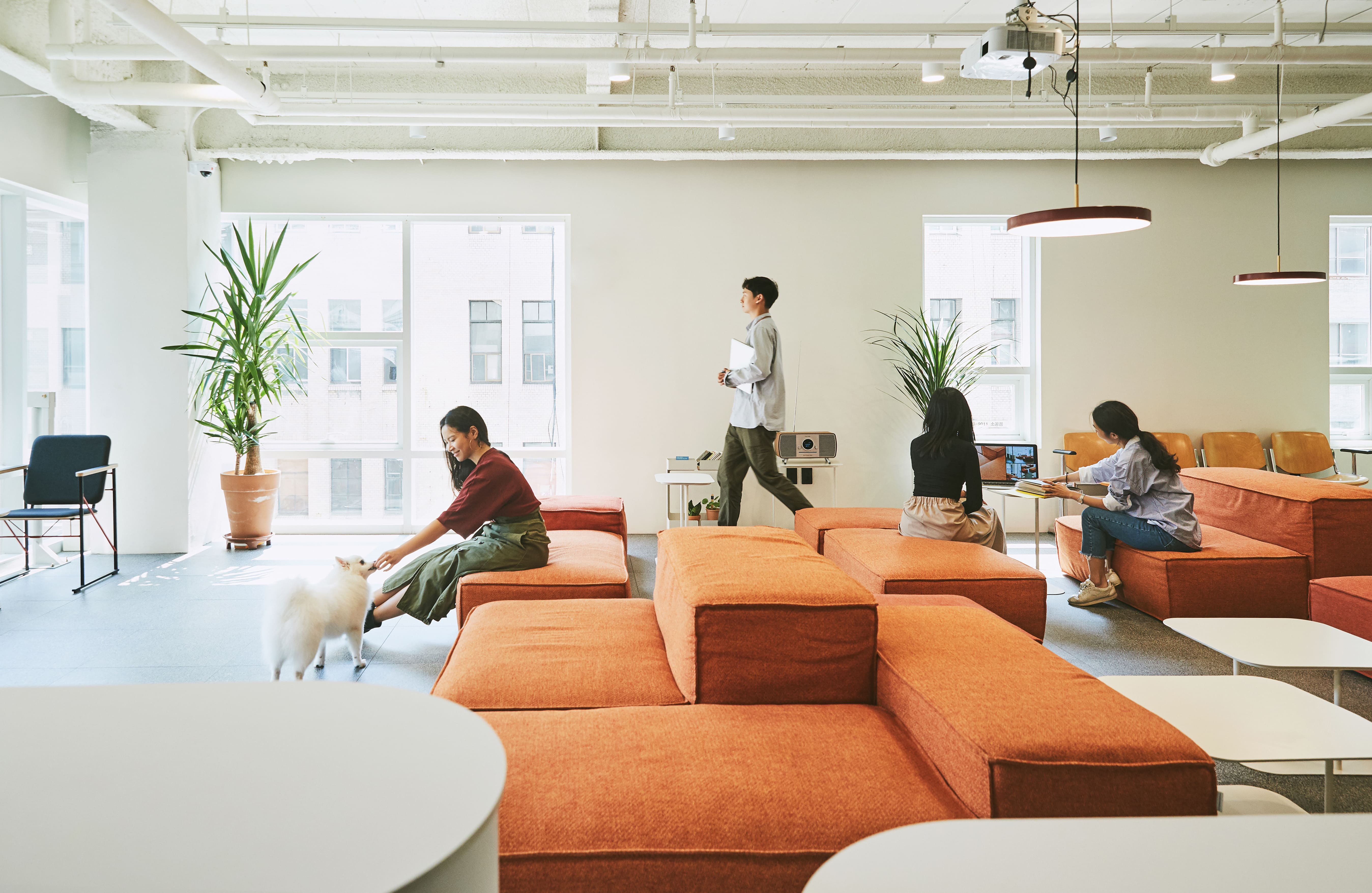 로컬스티치 소공 대표 이미지