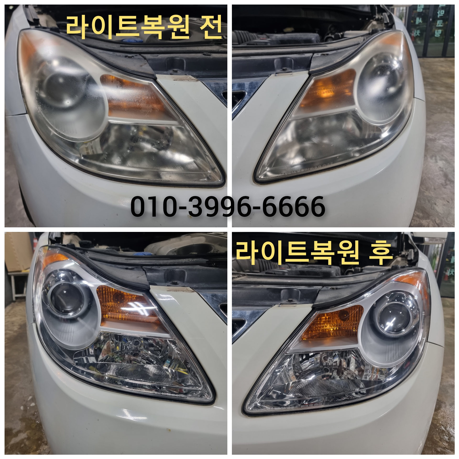 와니덴트