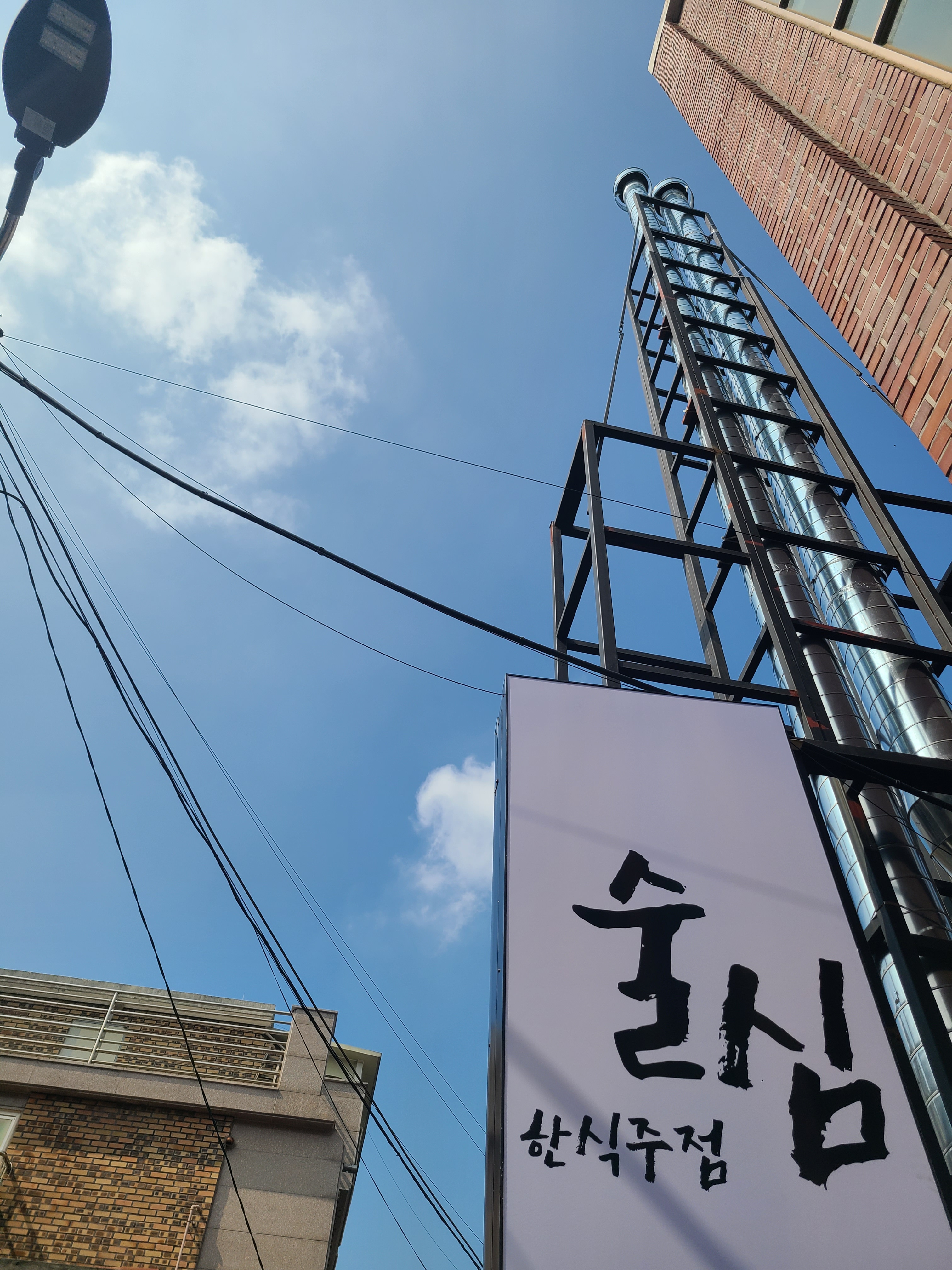 술심