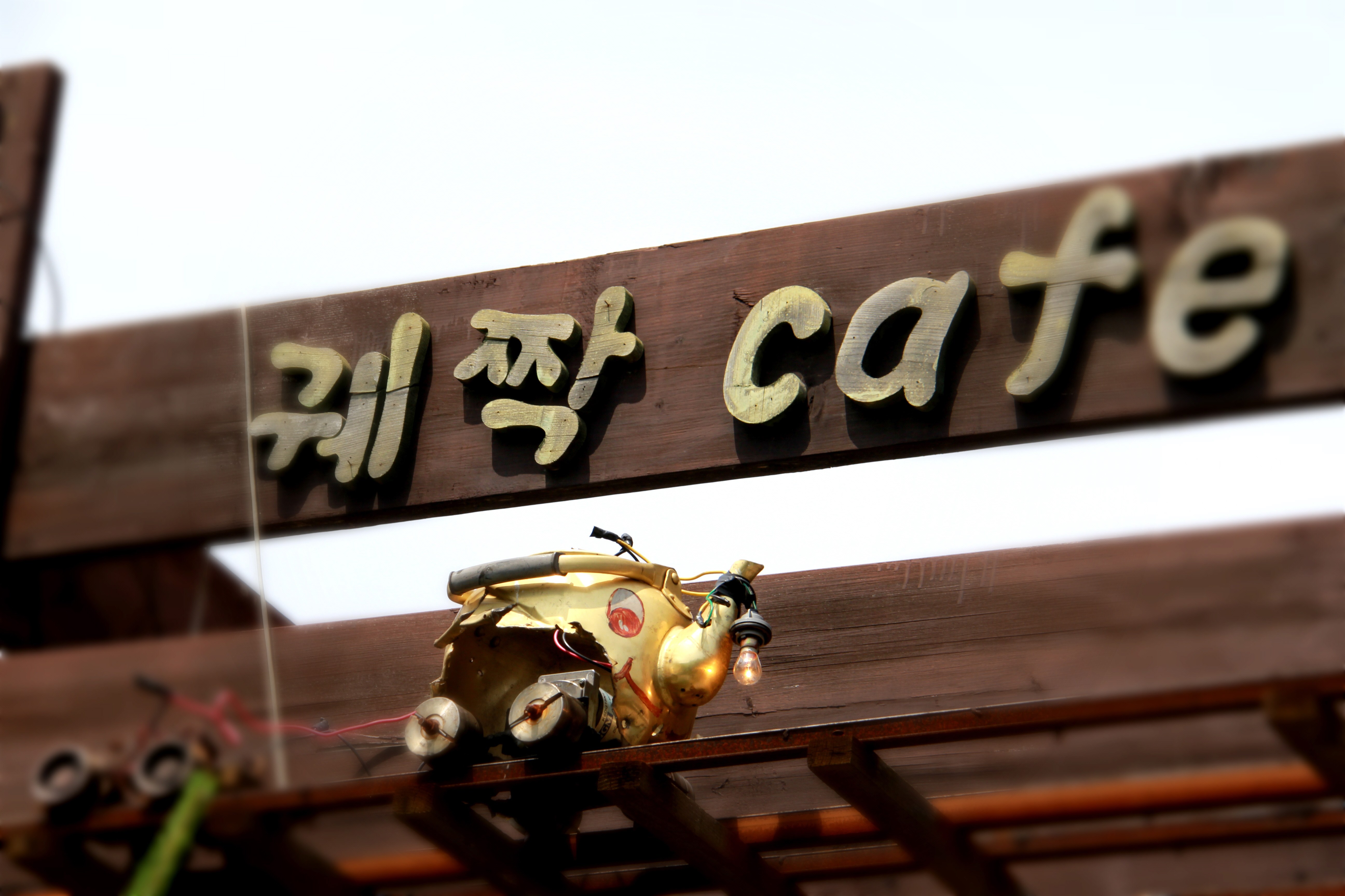 궤짝카페 반려동물 동반 애견카페