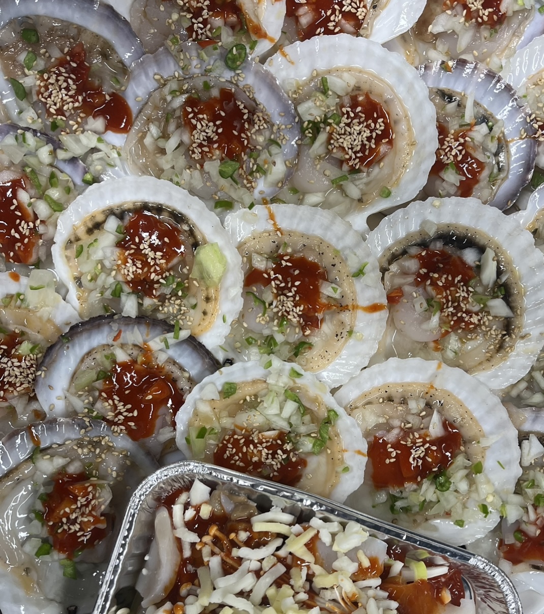 조개박사