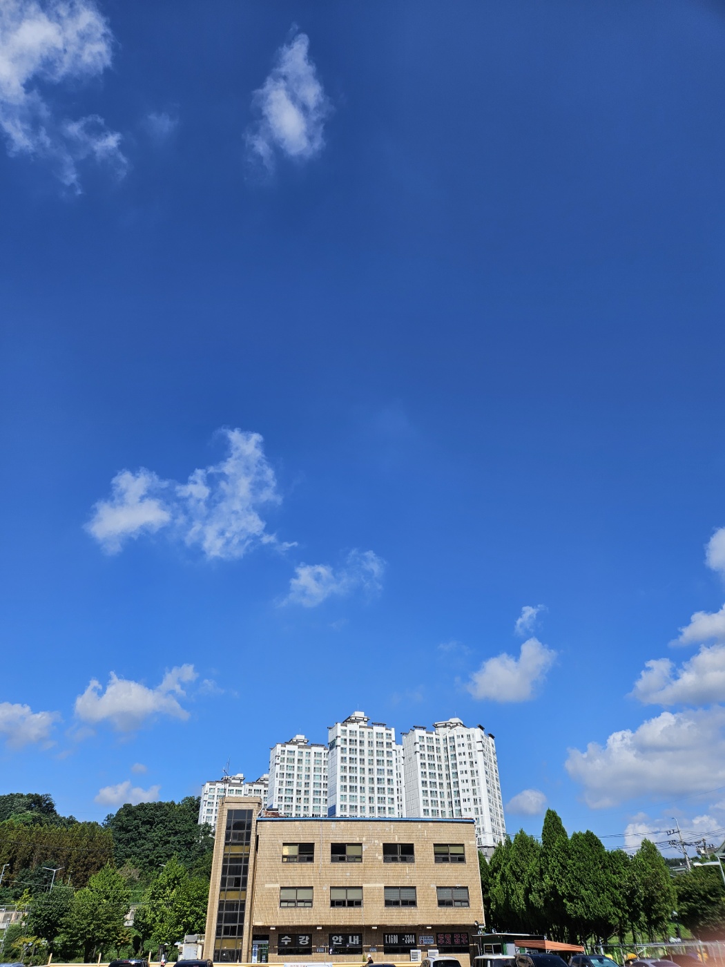 안양자동차운전전문학원