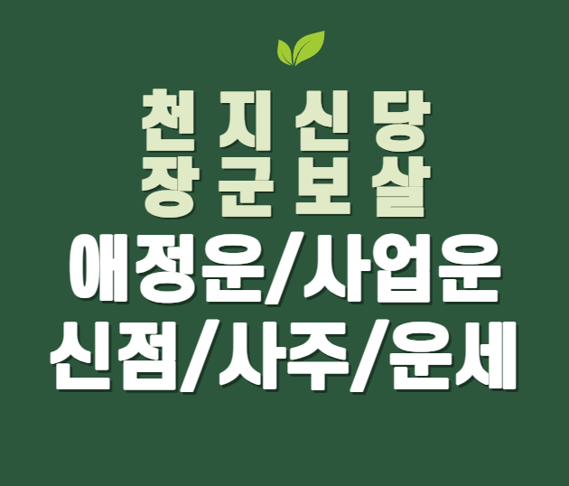 천지신당장군보살 사주&운세&사업운&애정운