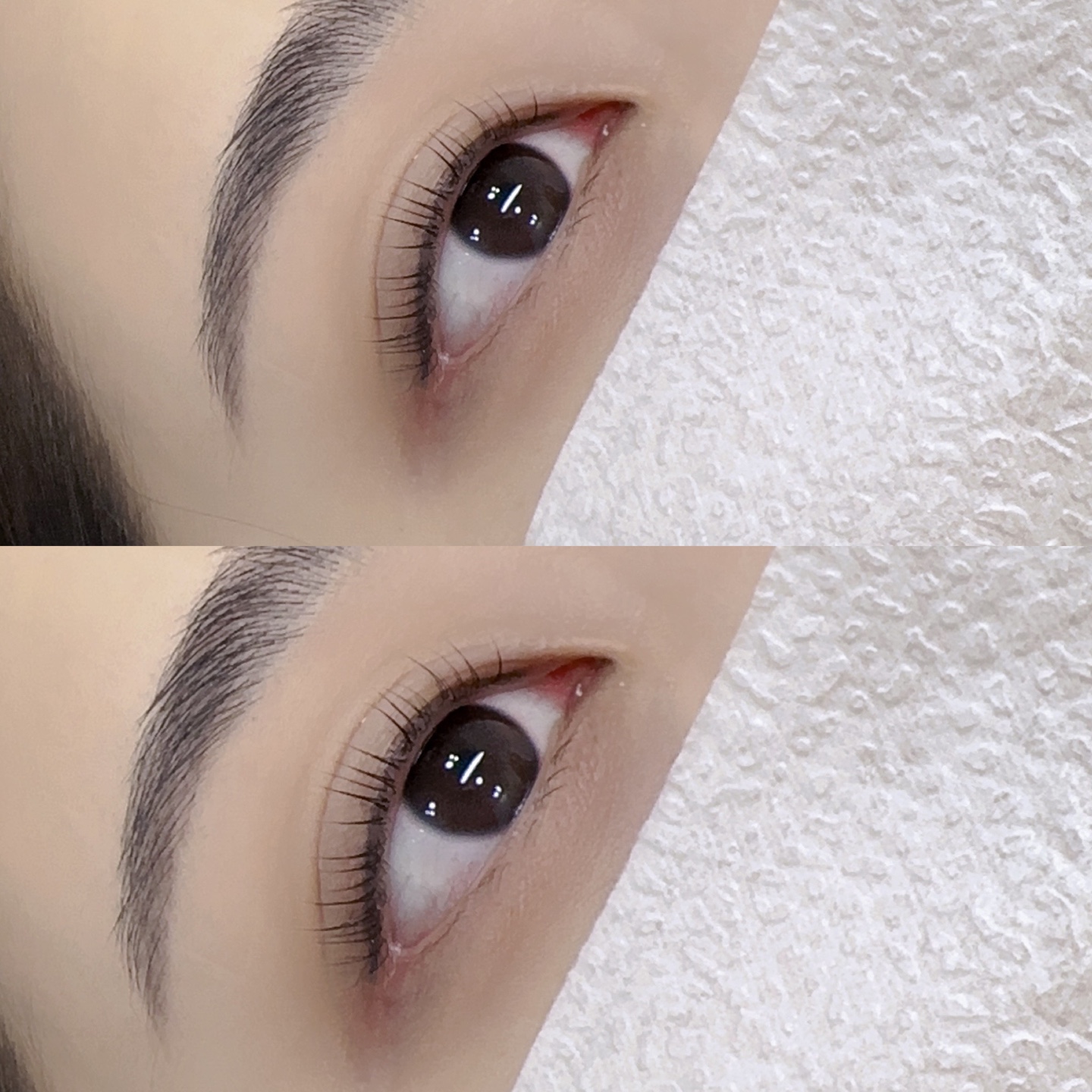 다롱언니 대표 이미지