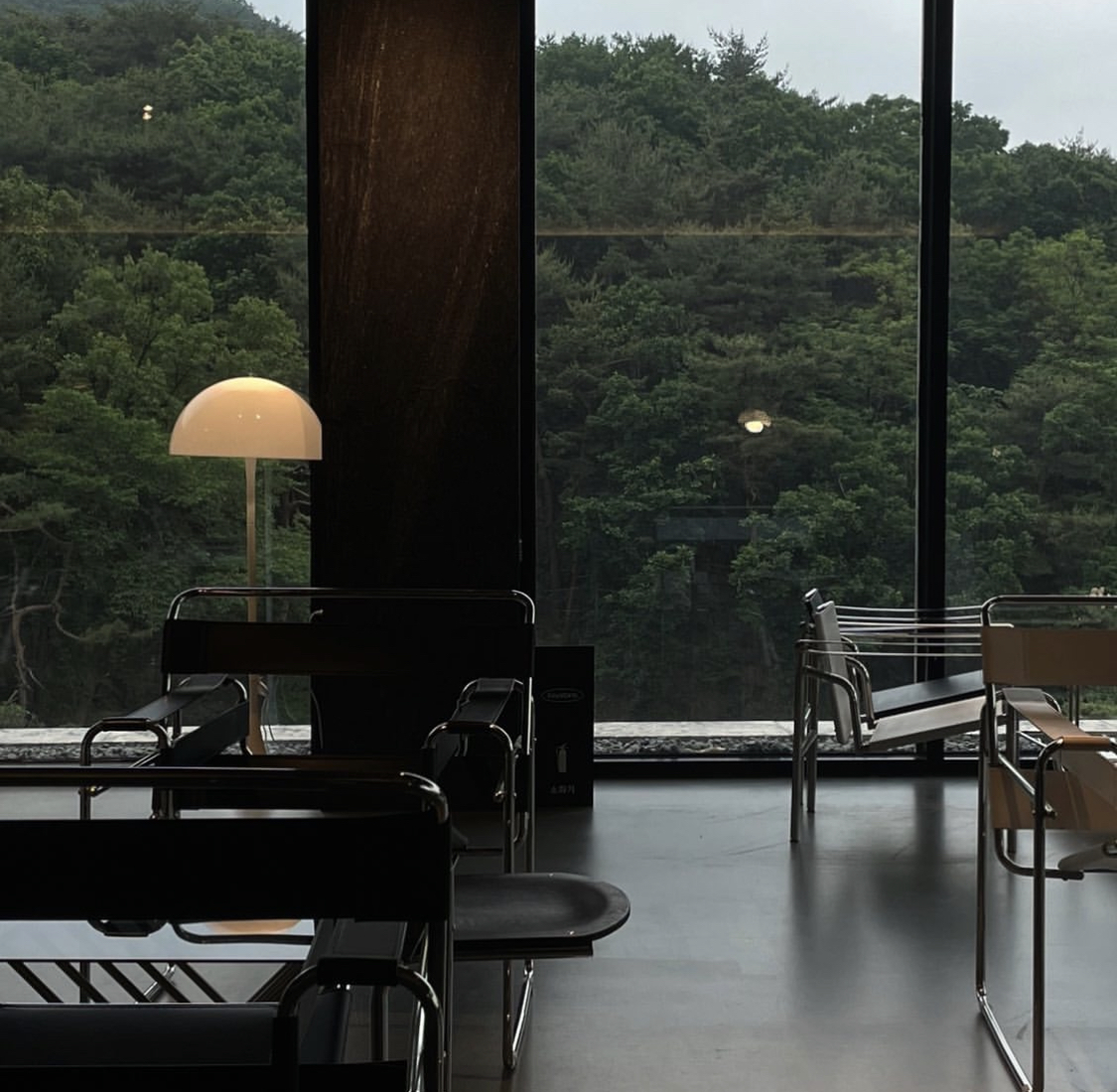 키스톤 스피시즈 사진 1