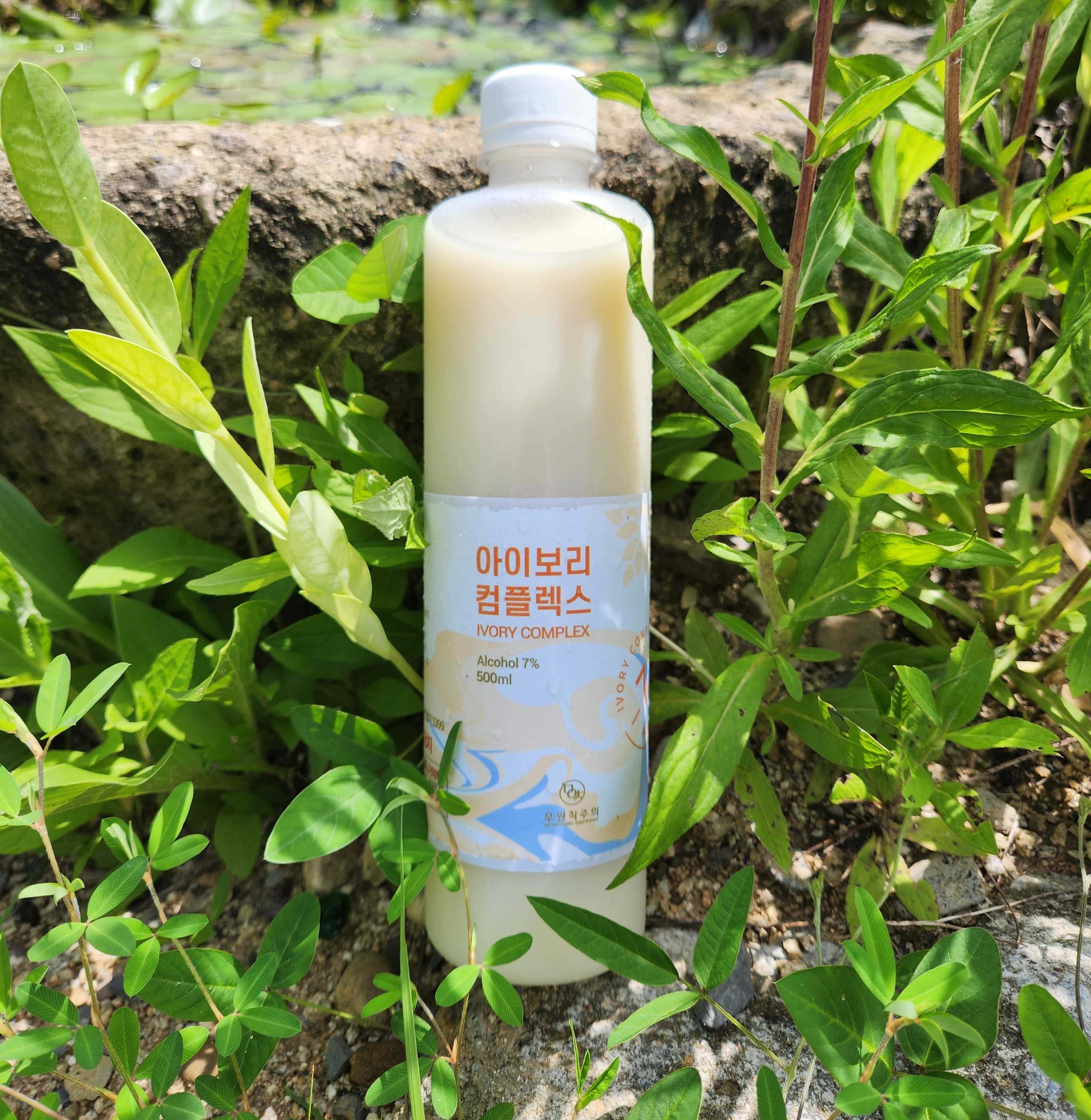 무원칙주의 양조장