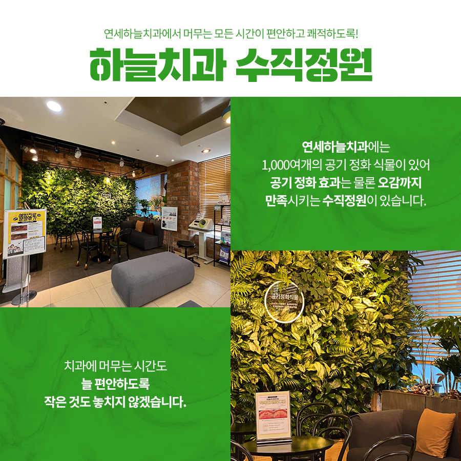 연세하늘치과의원 대표 이미지