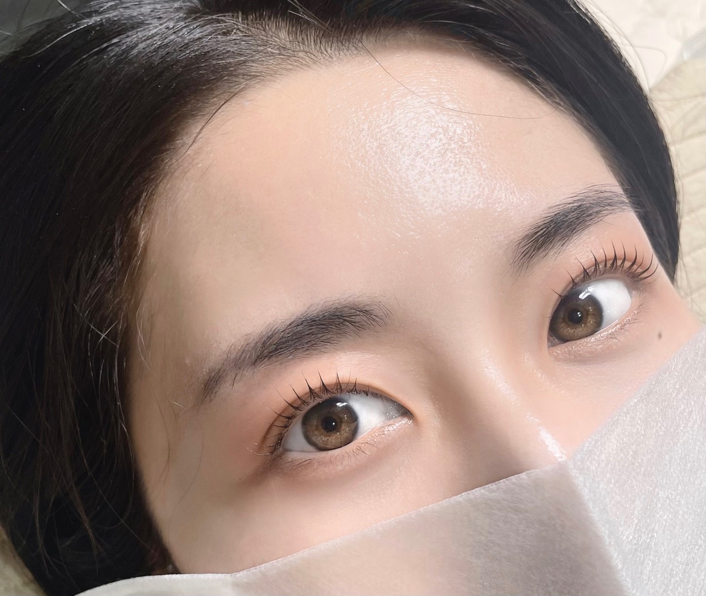 로운라인