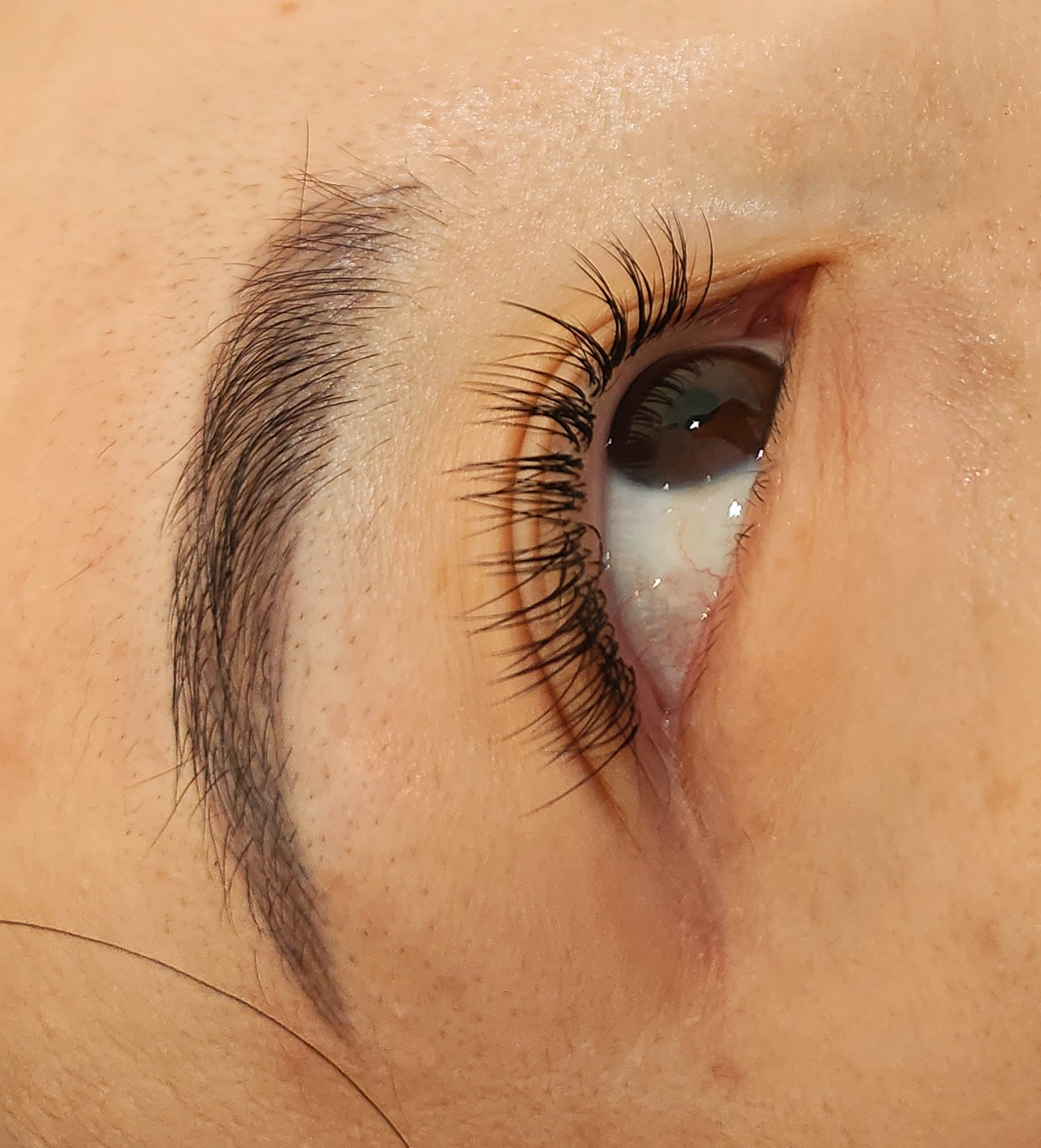 신데렐라 대표 이미지