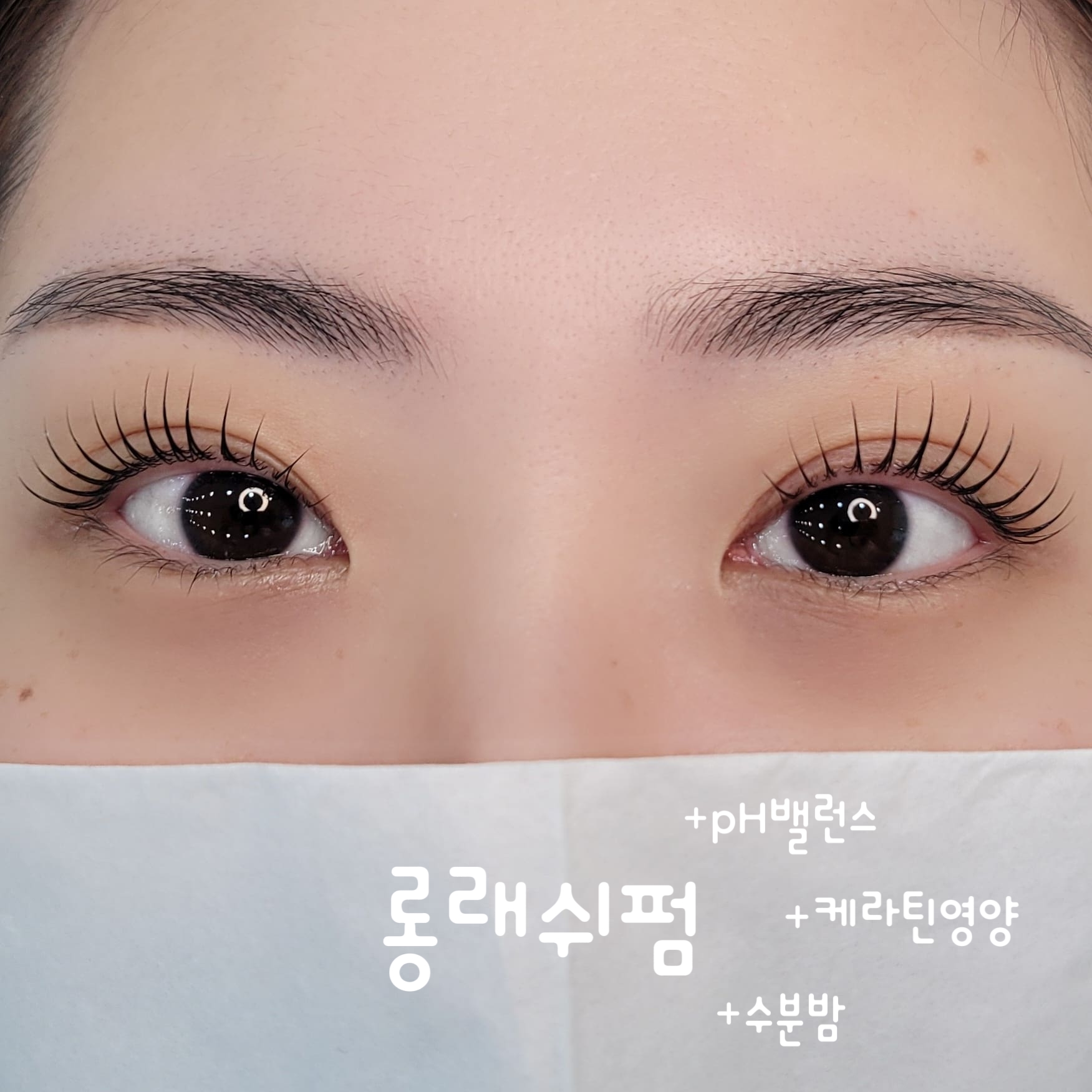 모든브로우