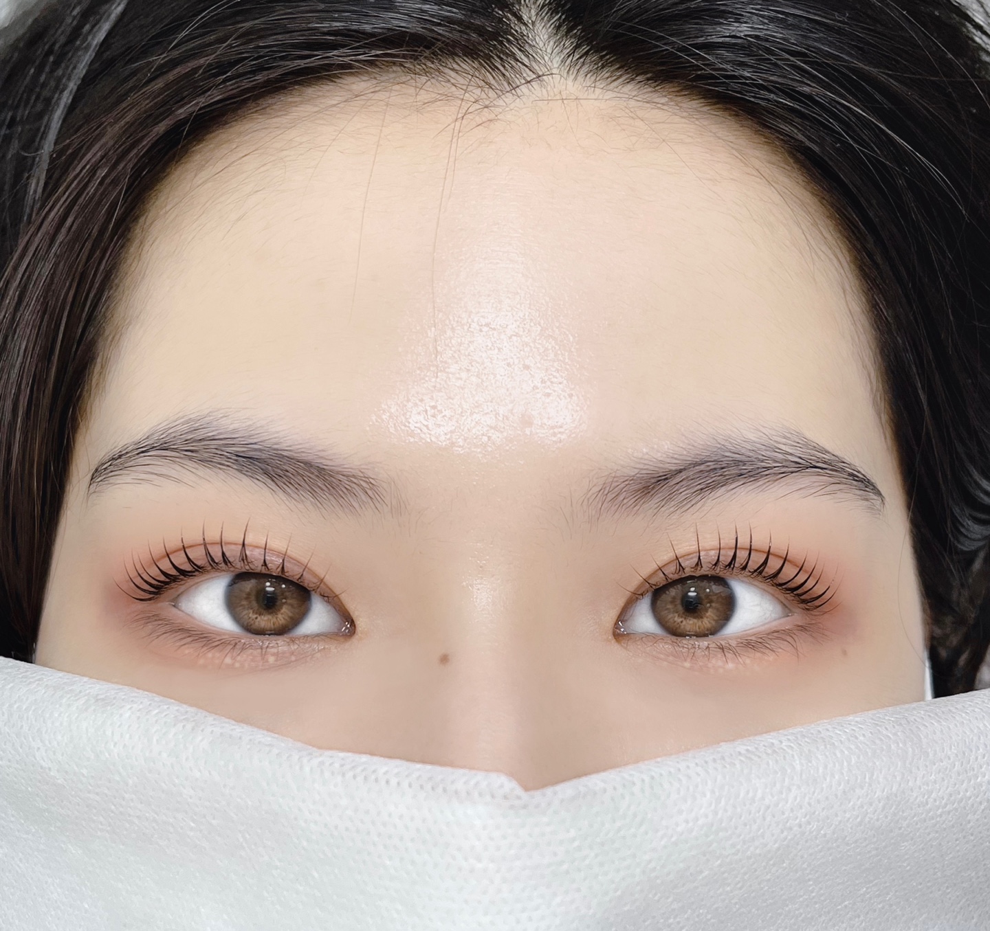 로운라인