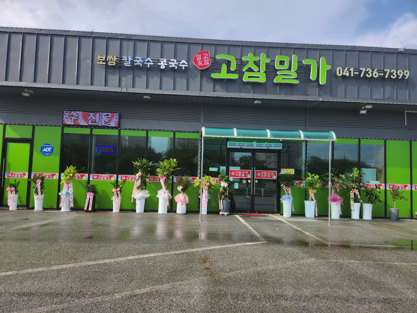 고참밀가