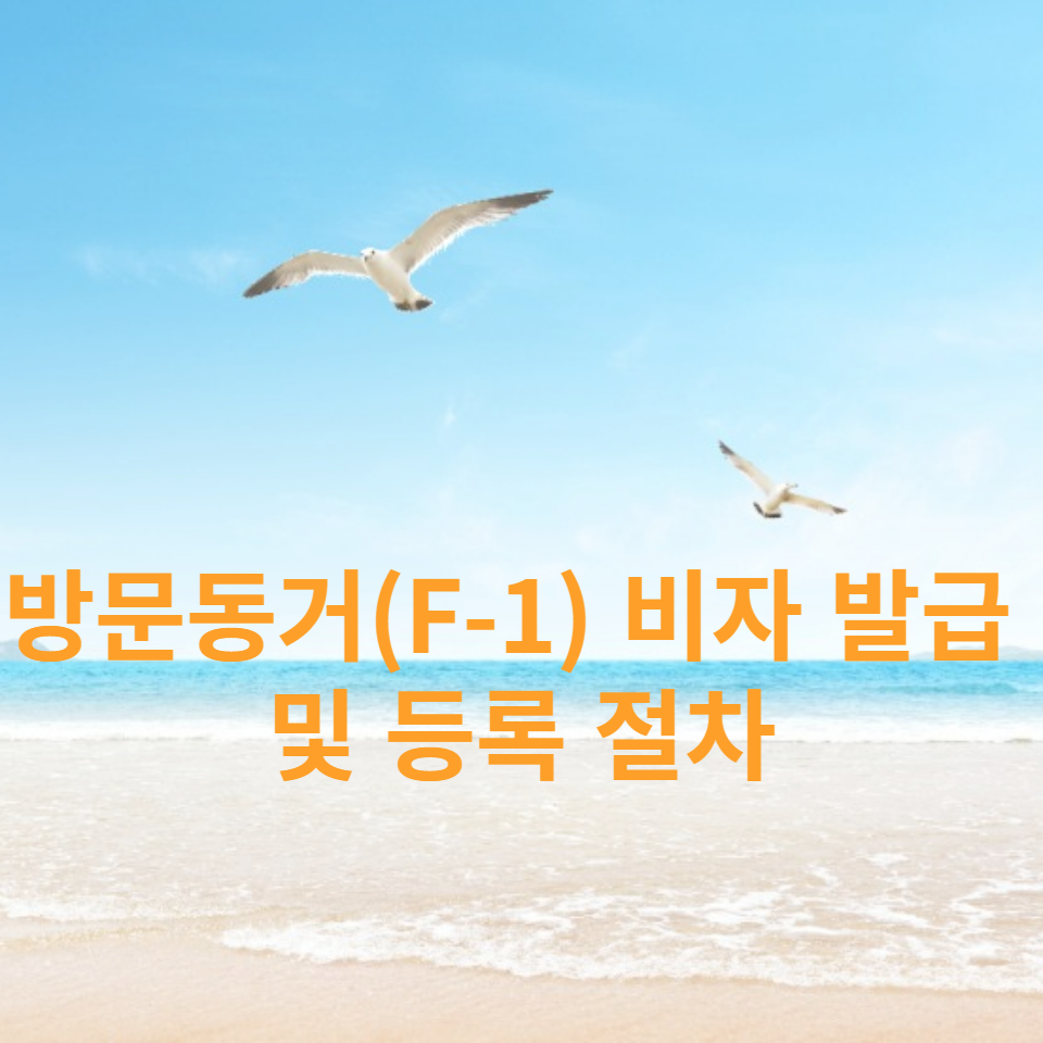 에스엠비행정사사무소