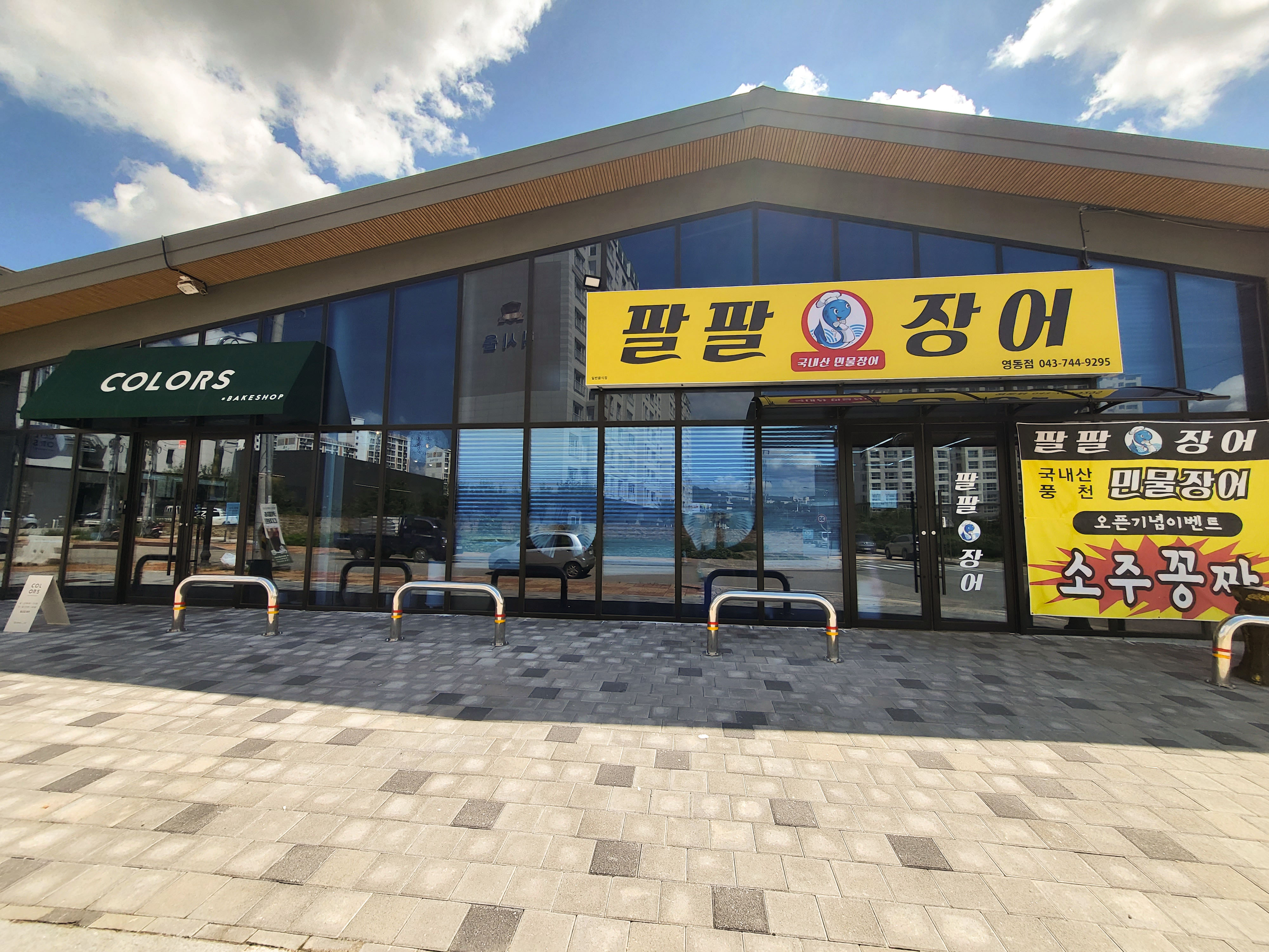 팔팔장어