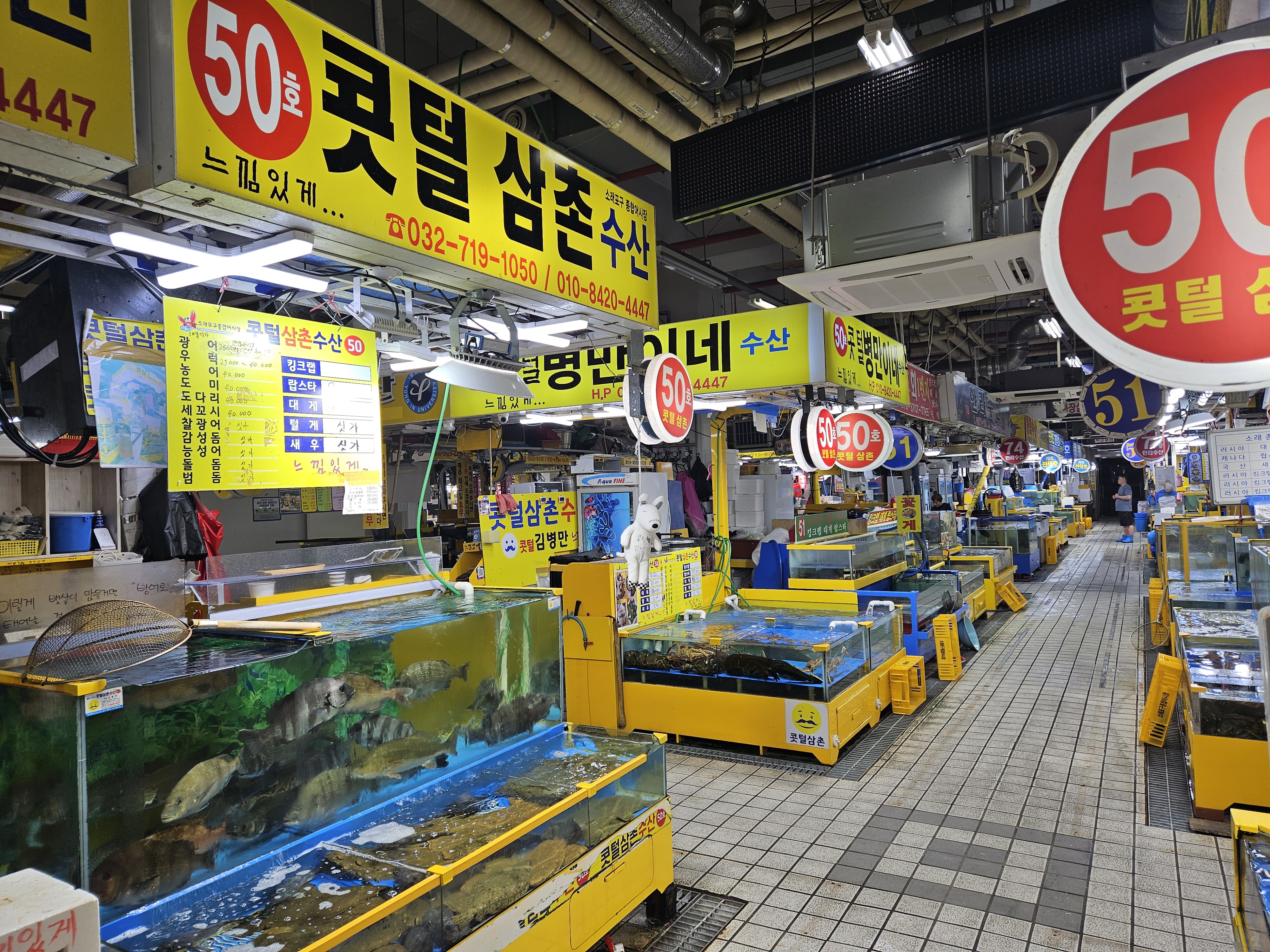 소래콧털삼촌수산