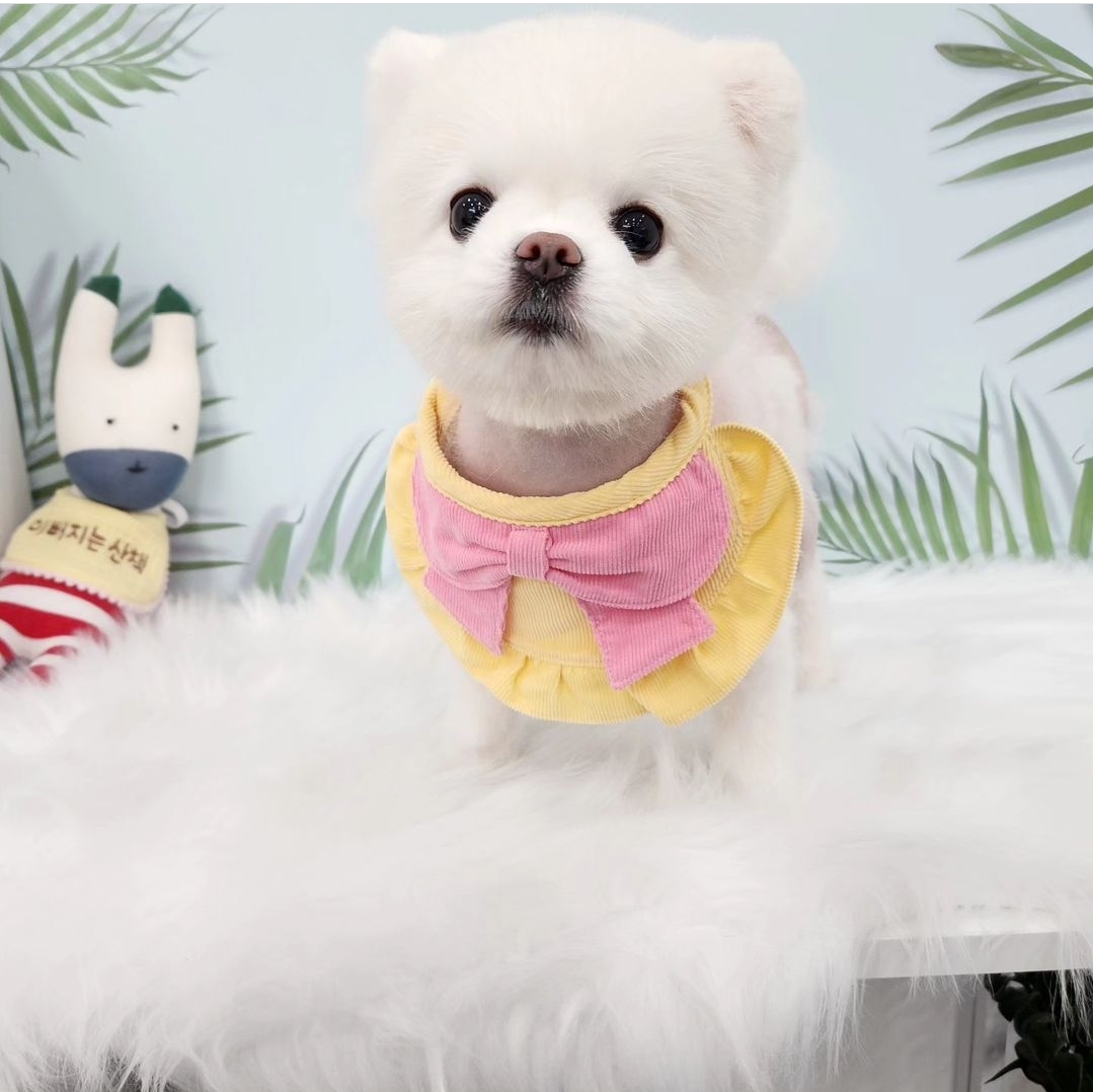 이뻐지는산책 3