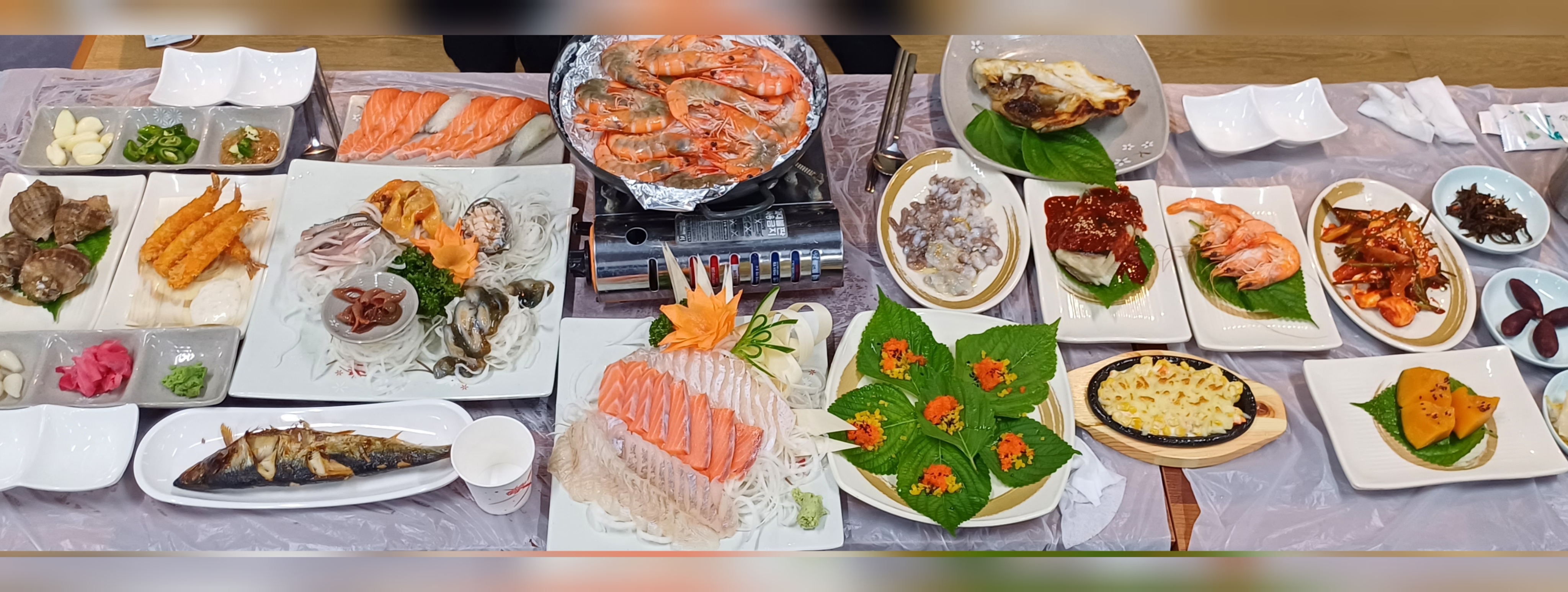 거북이네