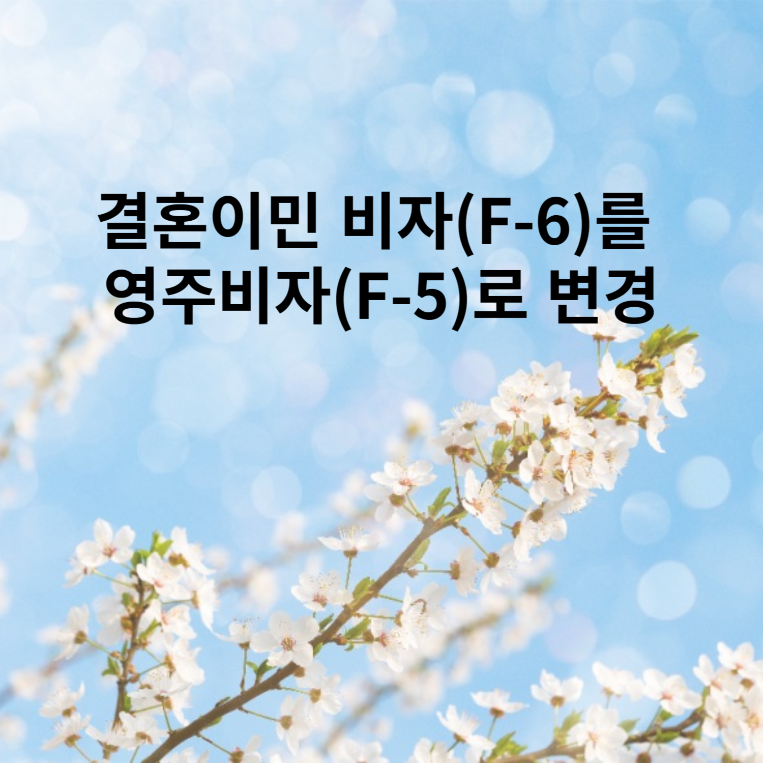 에스엠비행정사사무소