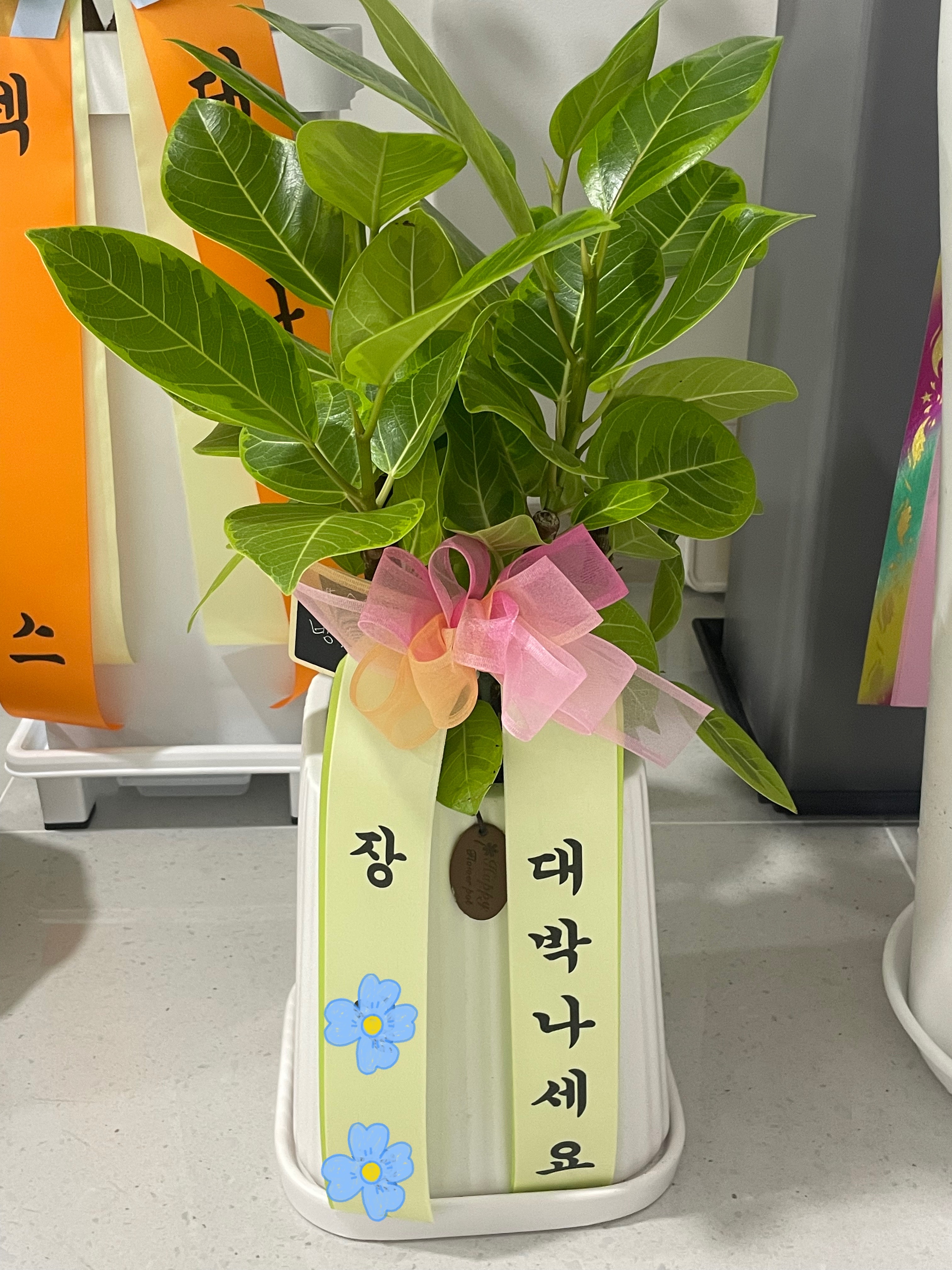 민 대표 이미지
