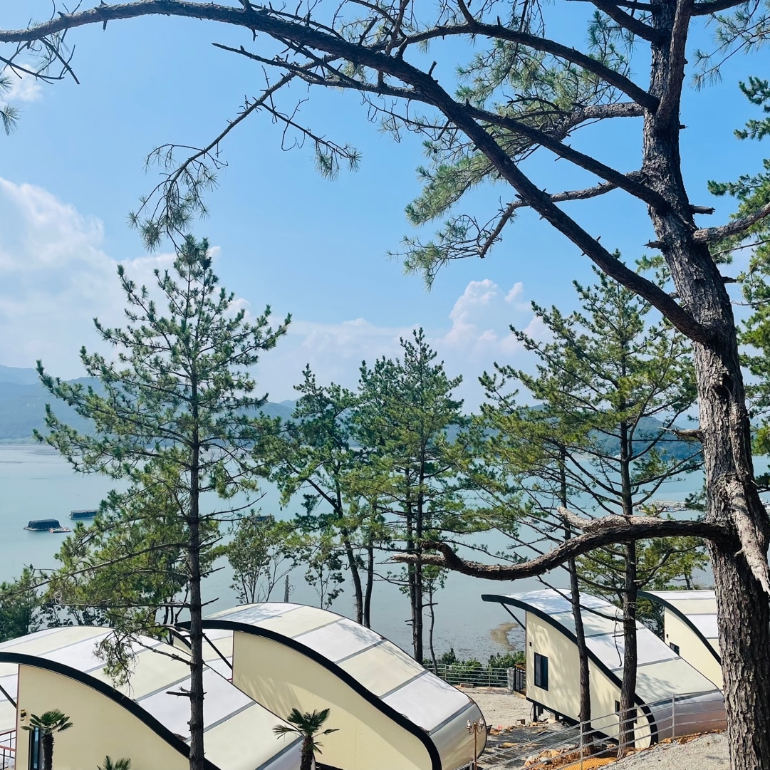 뚜띠아모