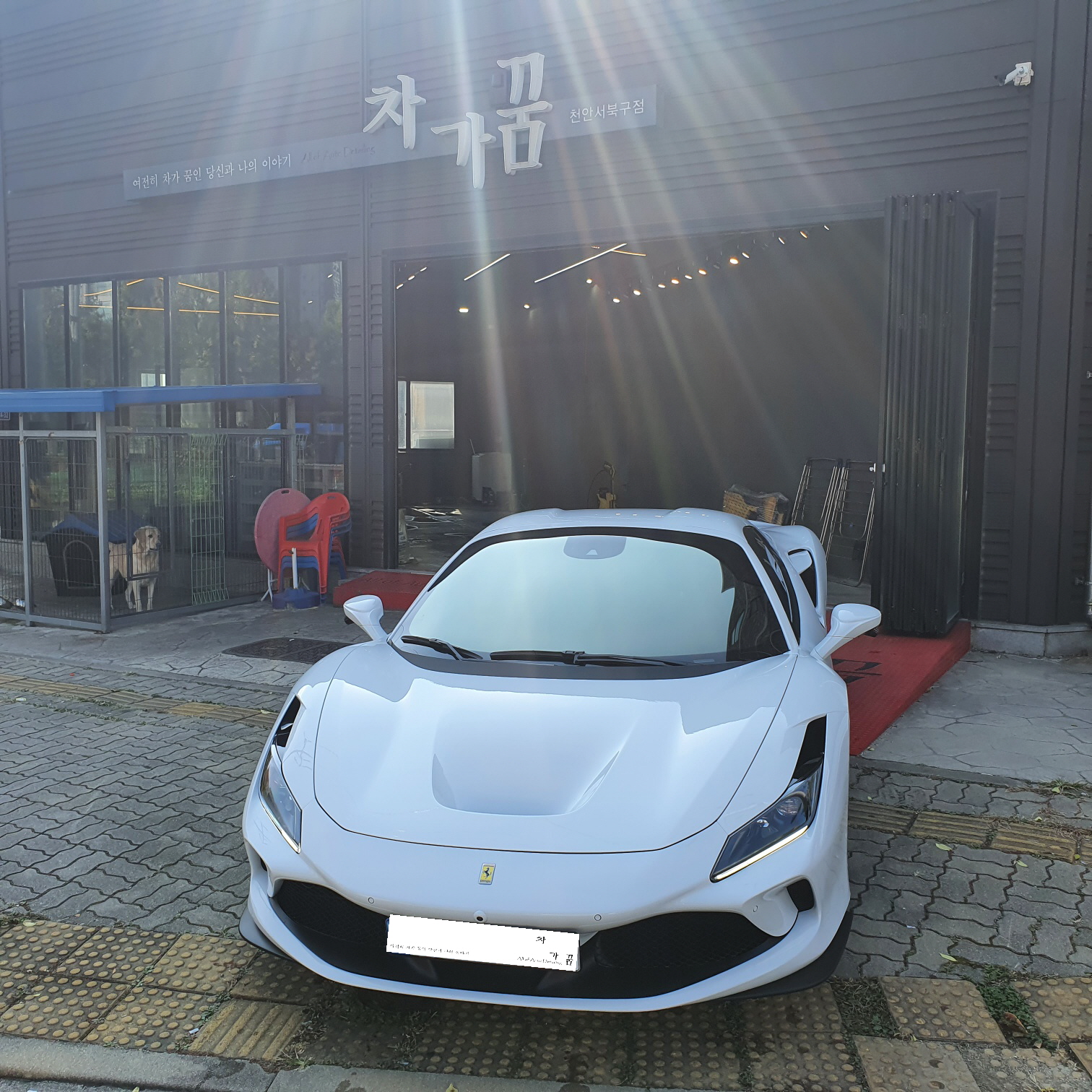 차가꿈 디테일링