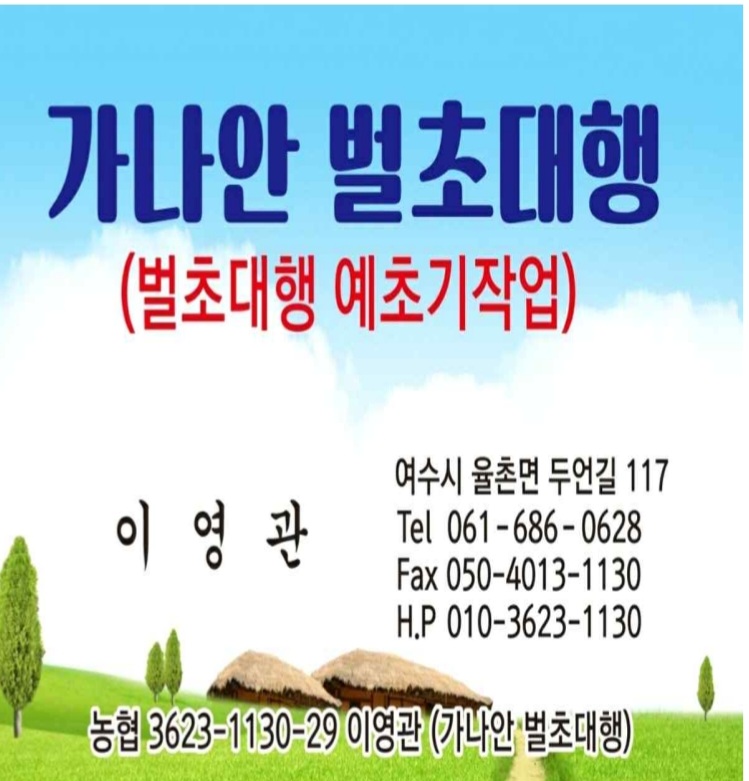 가나안 벌초대행
