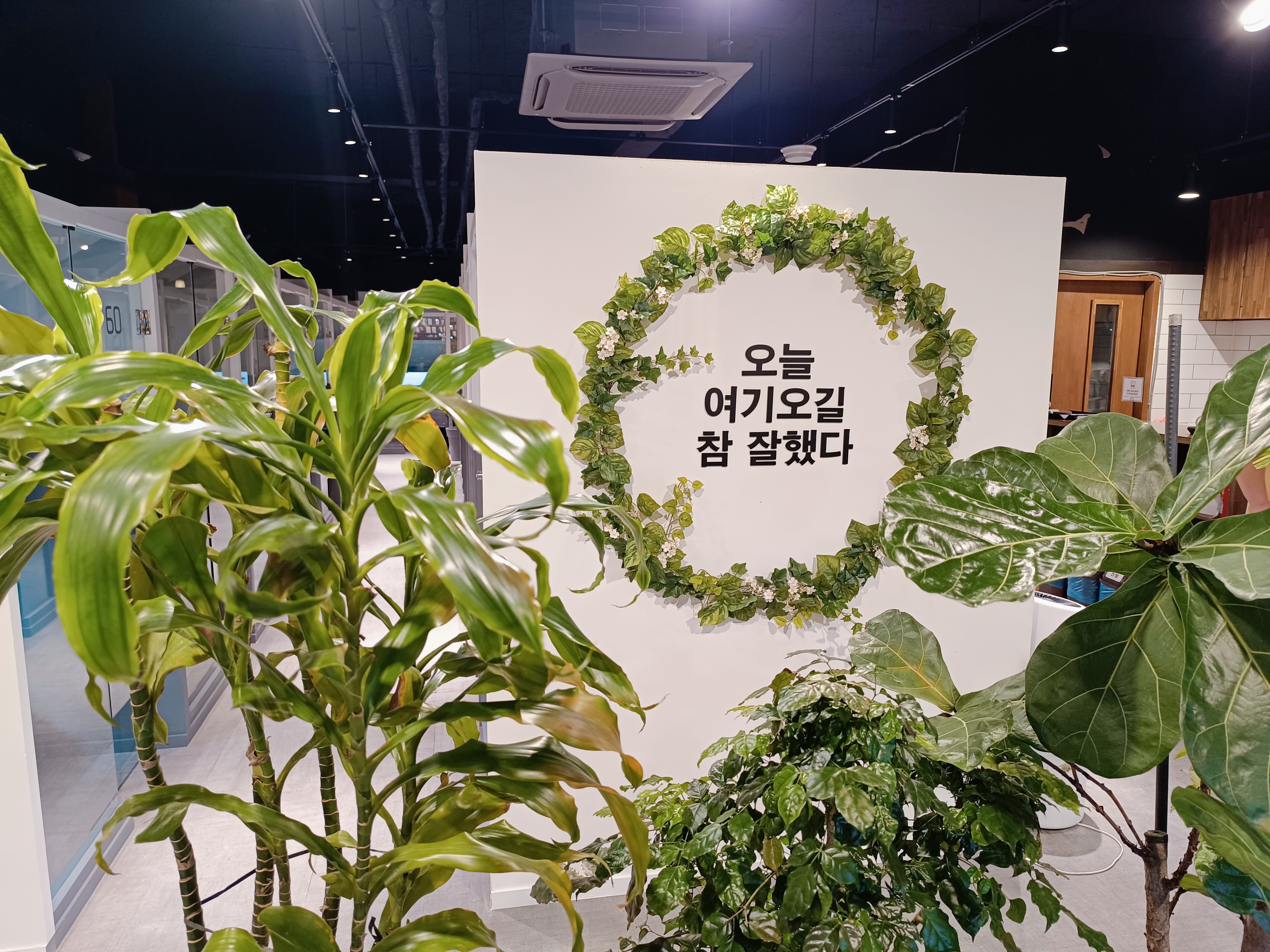 업체사진