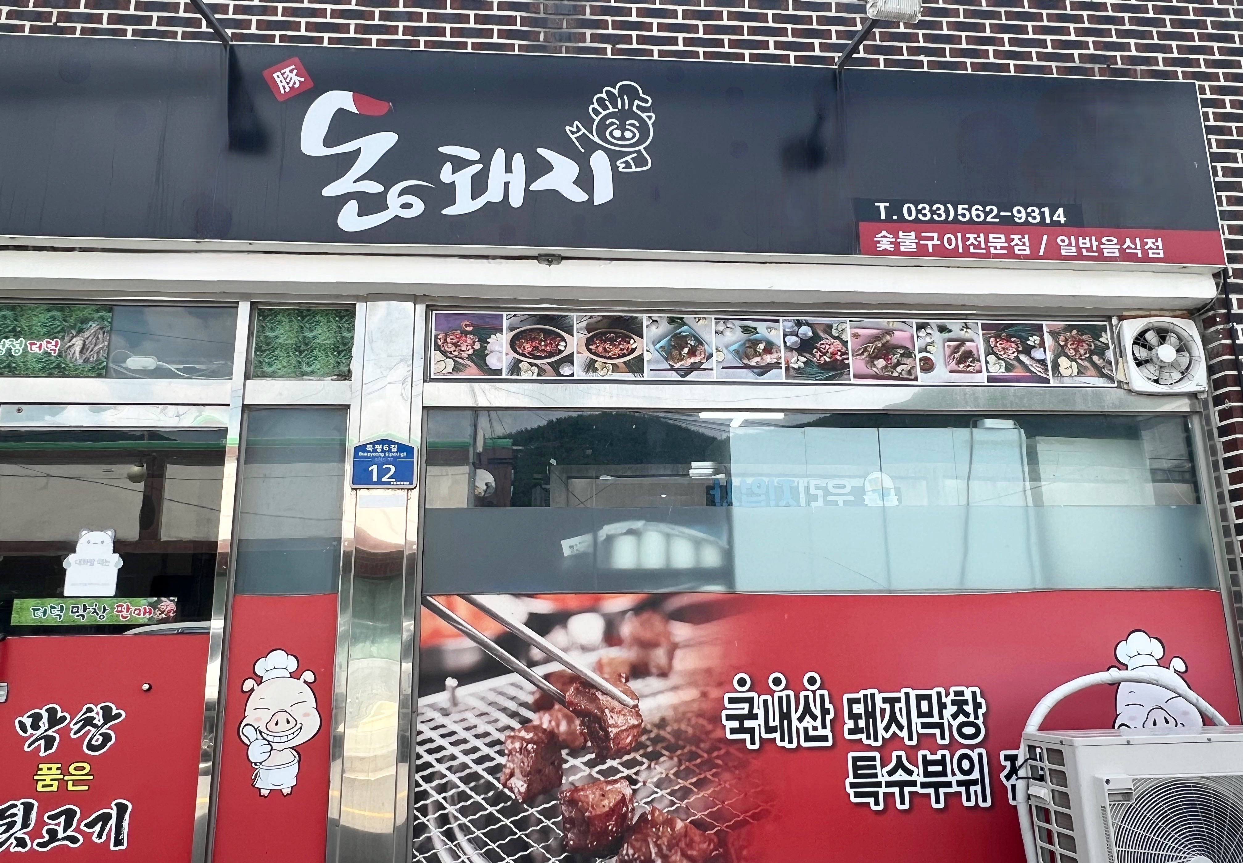 돈돼지 대표 이미지